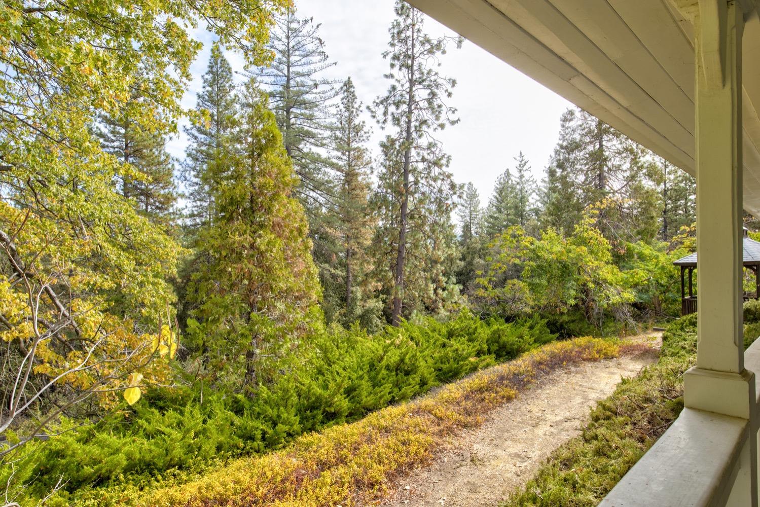 Detail Gallery Image 34 of 72 For 18714 Jesus Maria Rd, Mokelumne Hill,  CA 95245 - 3 Beds | 2 Baths