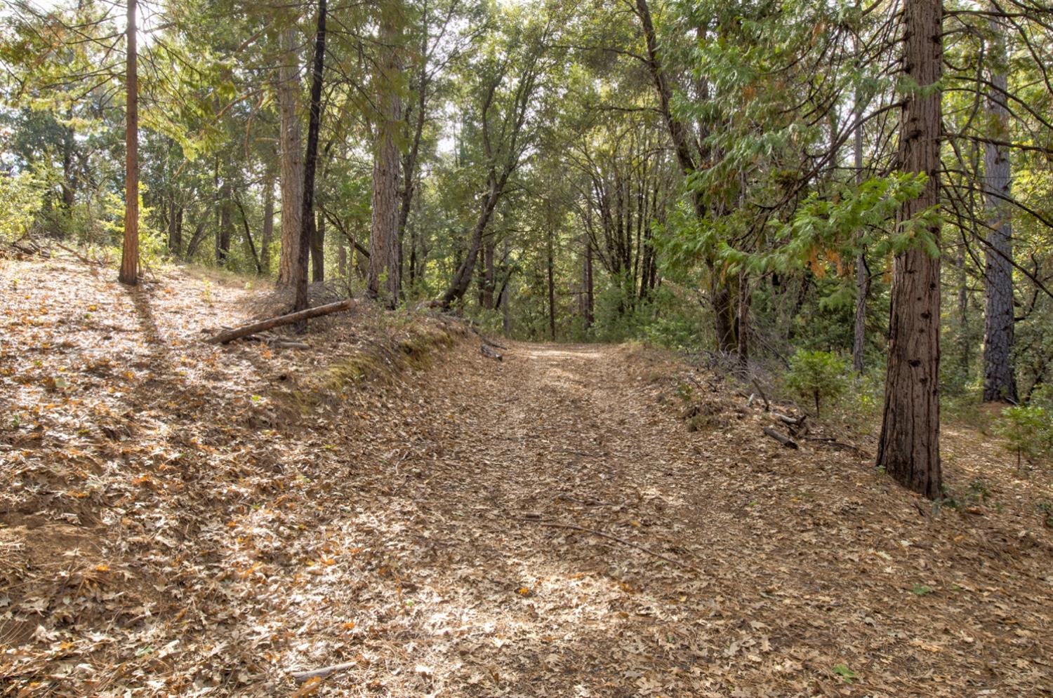 Detail Gallery Image 60 of 72 For 18714 Jesus Maria Rd, Mokelumne Hill,  CA 95245 - 3 Beds | 2 Baths