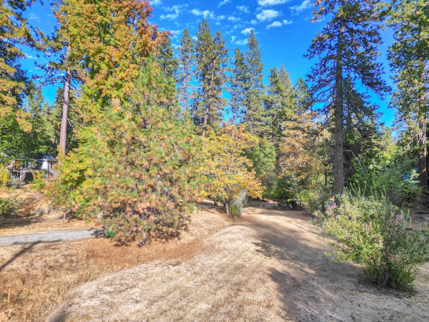 Detail Gallery Image 5 of 65 For 728 Old Washington Rd, Nevada City,  CA 95959 - – Beds | – Baths