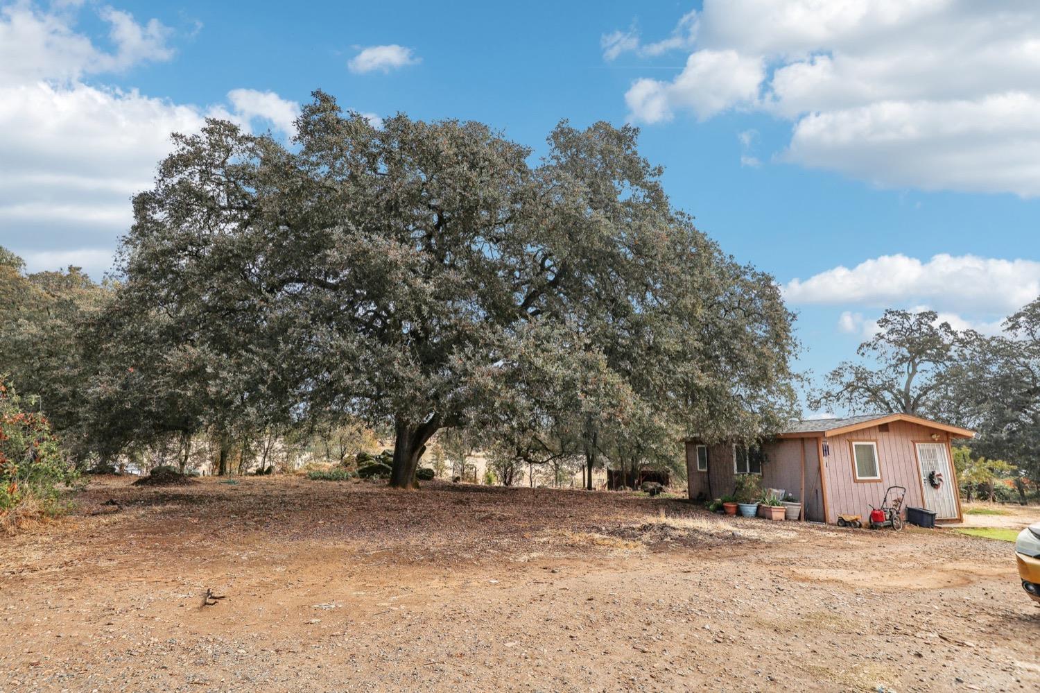 Detail Gallery Image 42 of 75 For 74 Montana Ave, Oroville,  CA 95966 - 3 Beds | 2 Baths