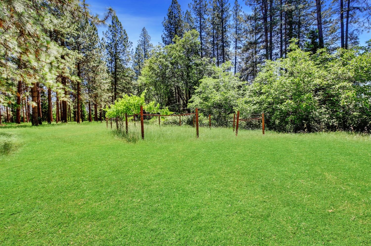 Detail Gallery Image 35 of 99 For 18874 Colfax Hwy, Grass Valley,  CA 95945 - 6 Beds | 4 Baths