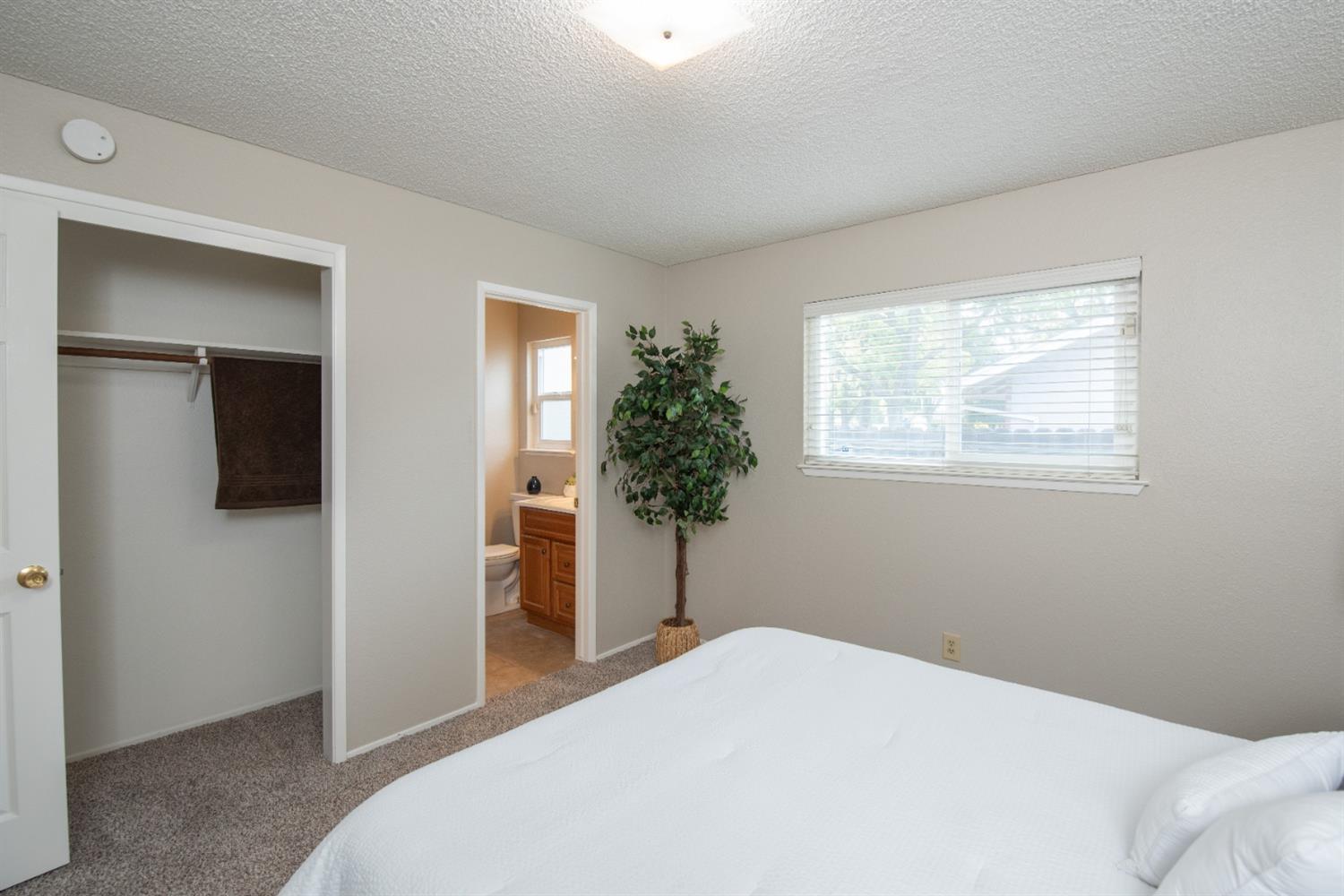 Detail Gallery Image 20 of 49 For 1517 Hamilton Ave, Modesto,  CA 95350 - 4 Beds | 2 Baths