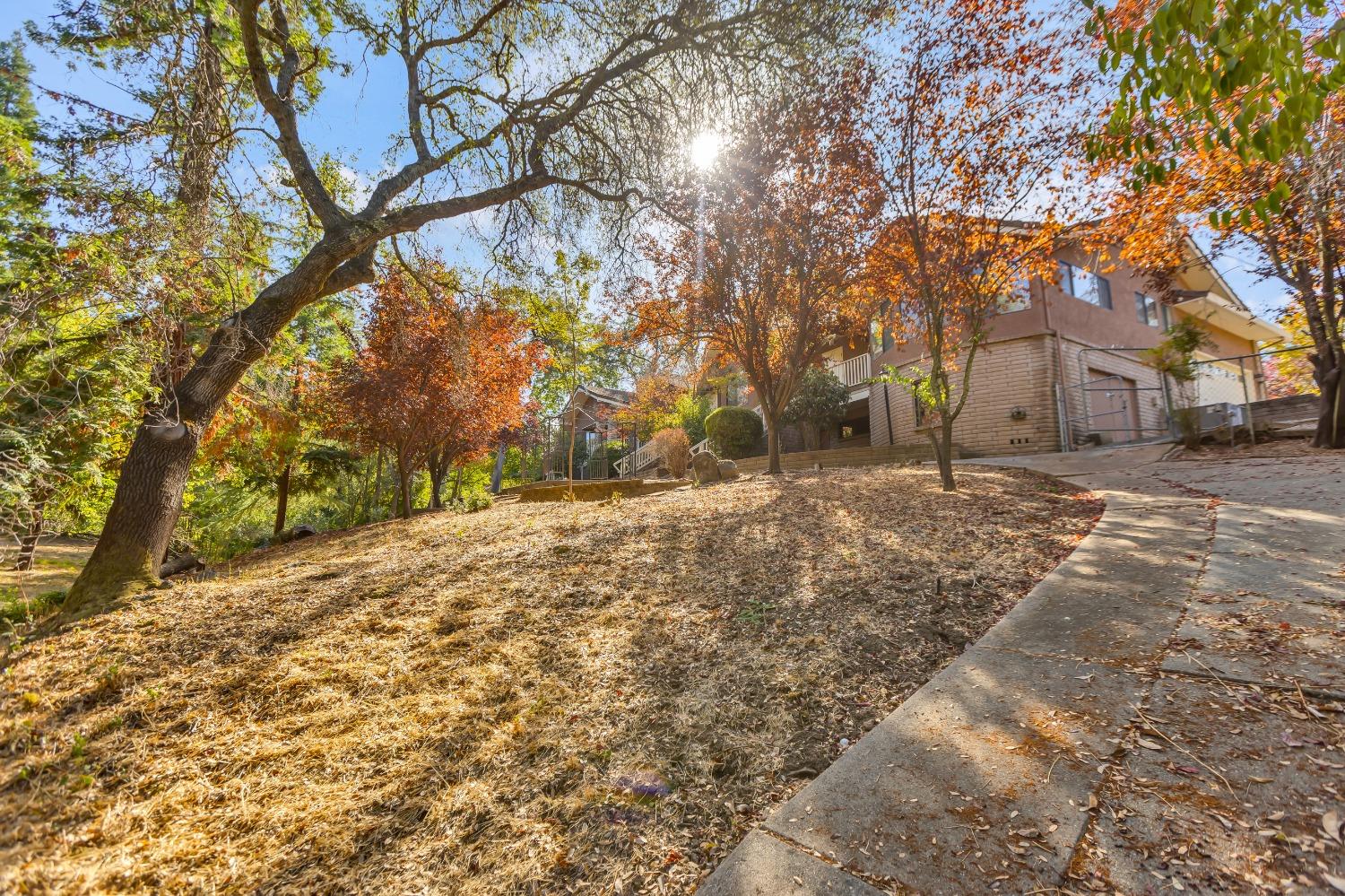 Detail Gallery Image 53 of 69 For 770 Lozanos Rd, Newcastle,  CA 95658 - 3 Beds | 2/1 Baths