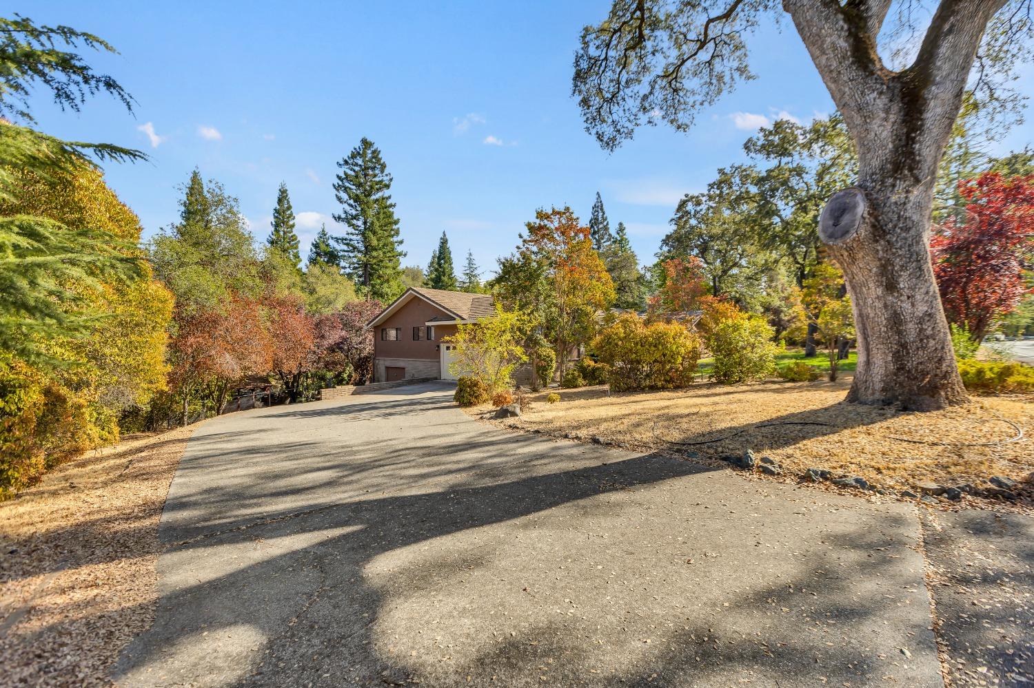 Detail Gallery Image 9 of 69 For 770 Lozanos Rd, Newcastle,  CA 95658 - 3 Beds | 2/1 Baths