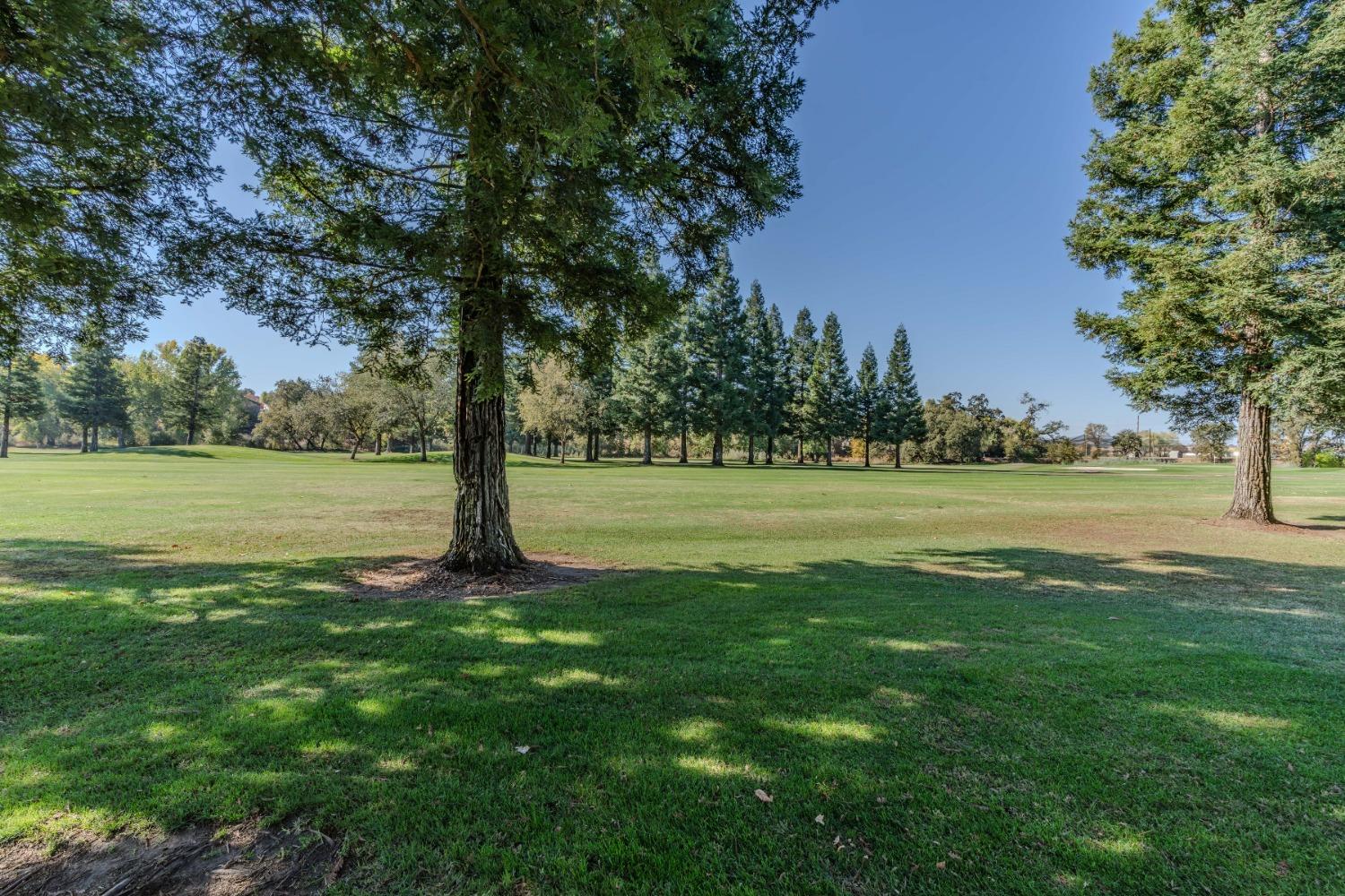 Detail Gallery Image 39 of 48 For 880 Saint Andrews Dr, Valley Springs,  CA 95252 - 3 Beds | 2 Baths