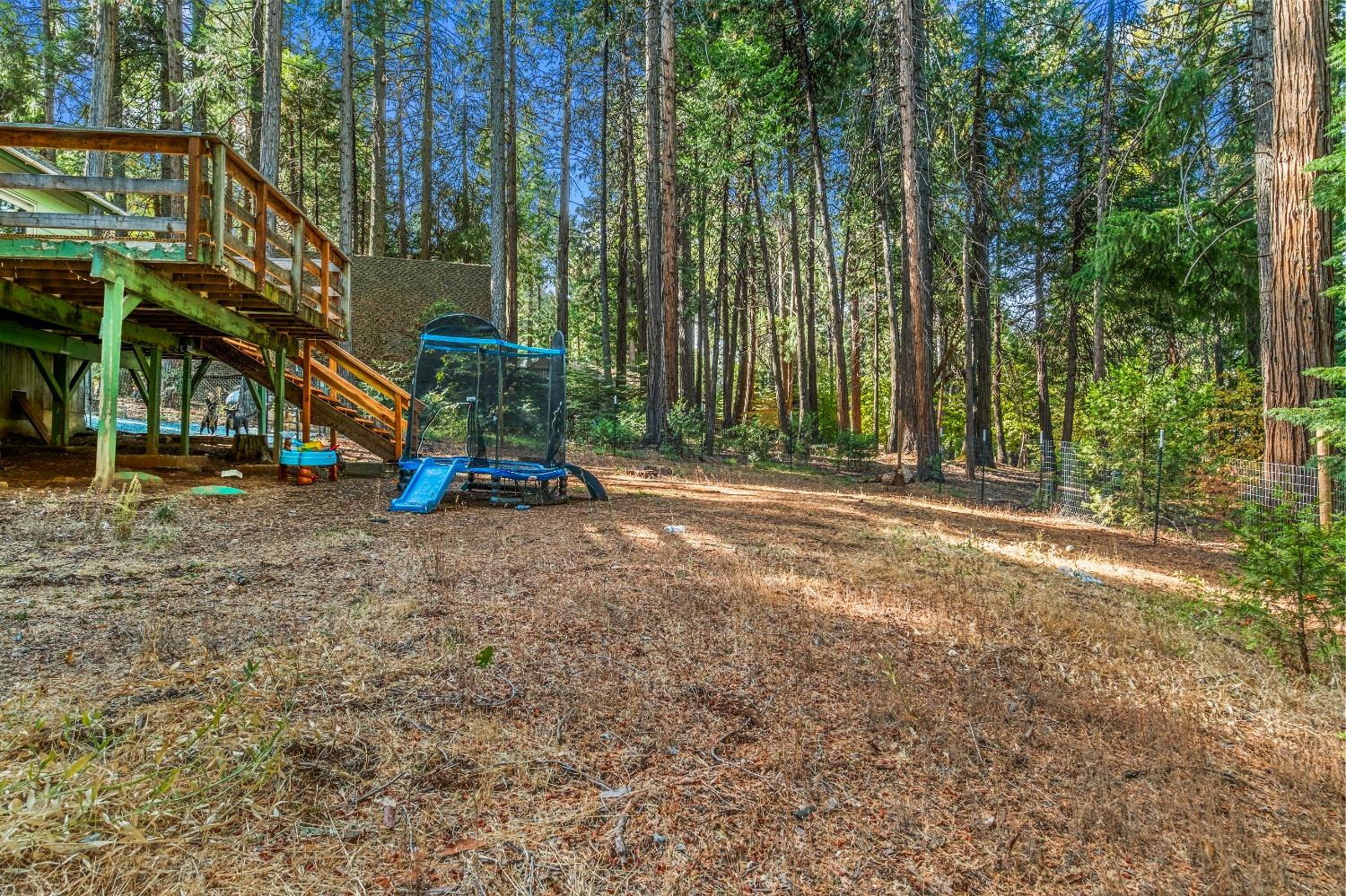 Detail Gallery Image 15 of 20 For 3584 Gold Ridge Trl, Pollock Pines,  CA 95726 - 5 Beds | 3/1 Baths