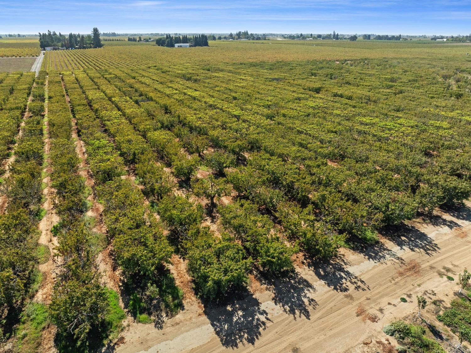 Detail Gallery Image 2 of 13 For 15089 N Locust Tree, Lodi,  CA 95240 - – Beds | – Baths