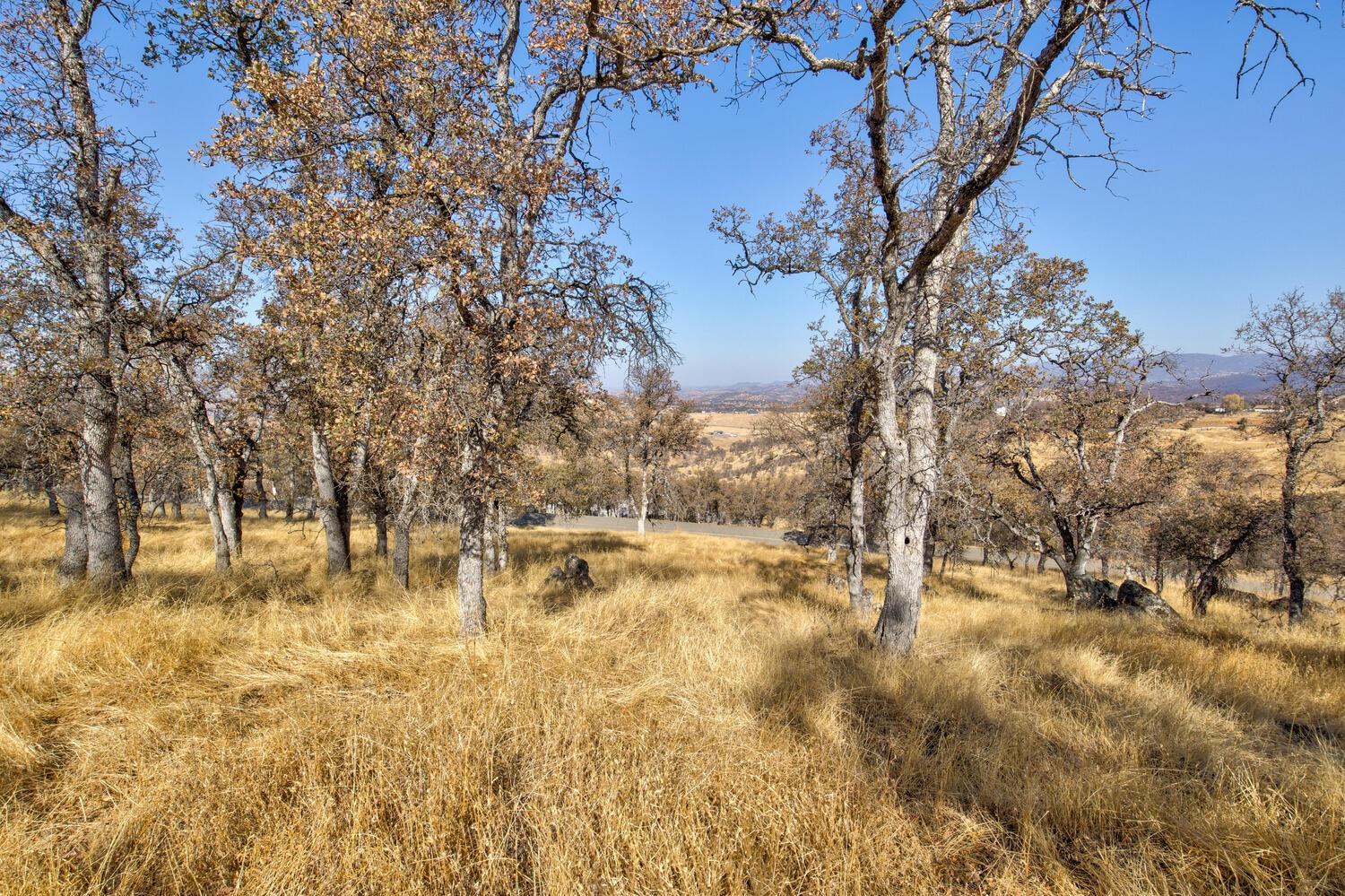 Lazo Way, La Grange, California image 10