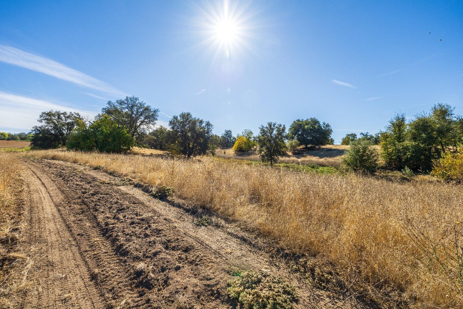 Acres State Highway 193, Lincoln, California image 20