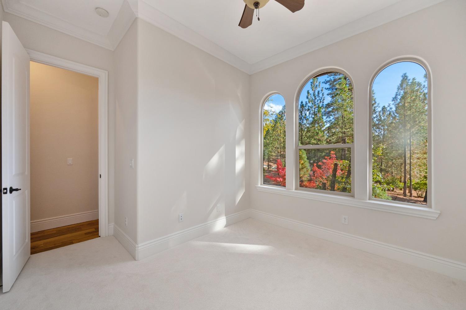 Detail Gallery Image 57 of 59 For 22013 Alton Trl, Foresthill,  CA 95631 - 3 Beds | 2/1 Baths