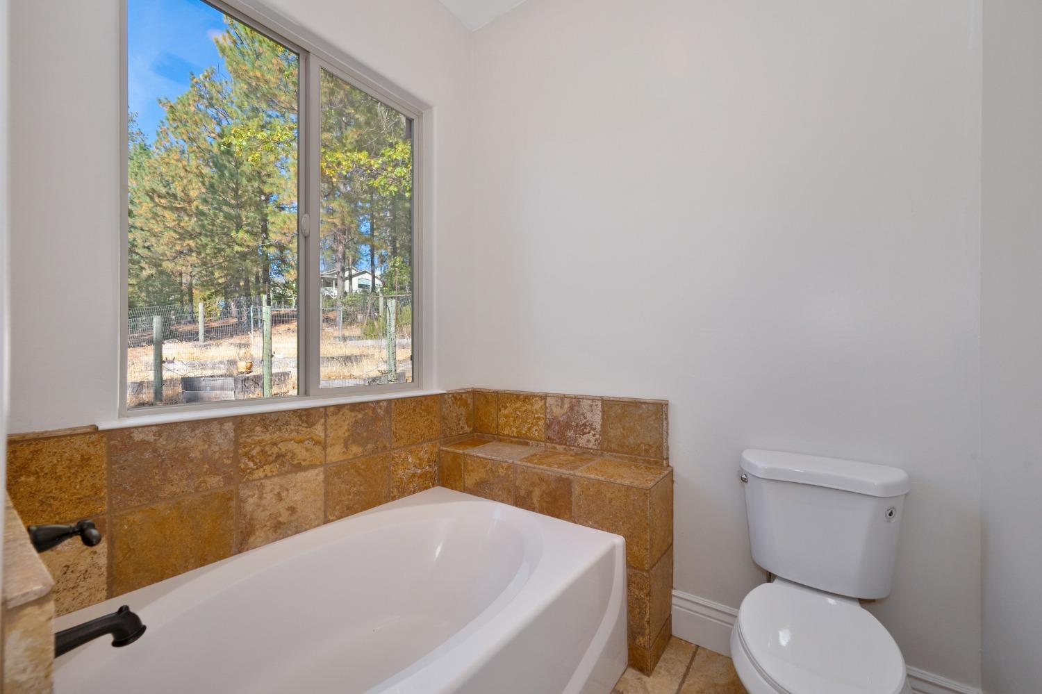 Detail Gallery Image 51 of 59 For 22013 Alton Trl, Foresthill,  CA 95631 - 3 Beds | 2/1 Baths