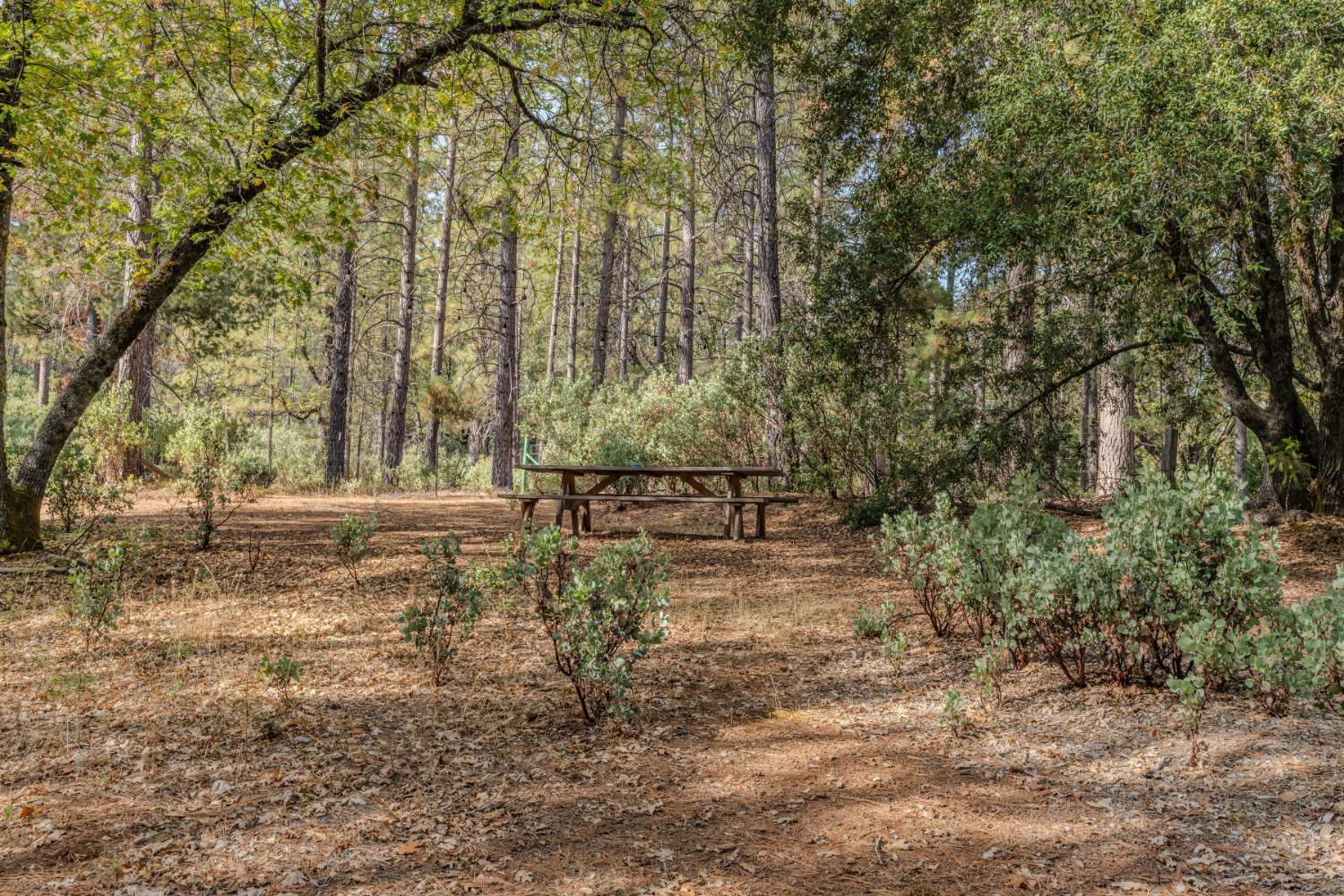 Detail Gallery Image 49 of 65 For 125 N Railroad Flat Rd, Rail Road Flat,  CA 95248 - 2 Beds | 1 Baths