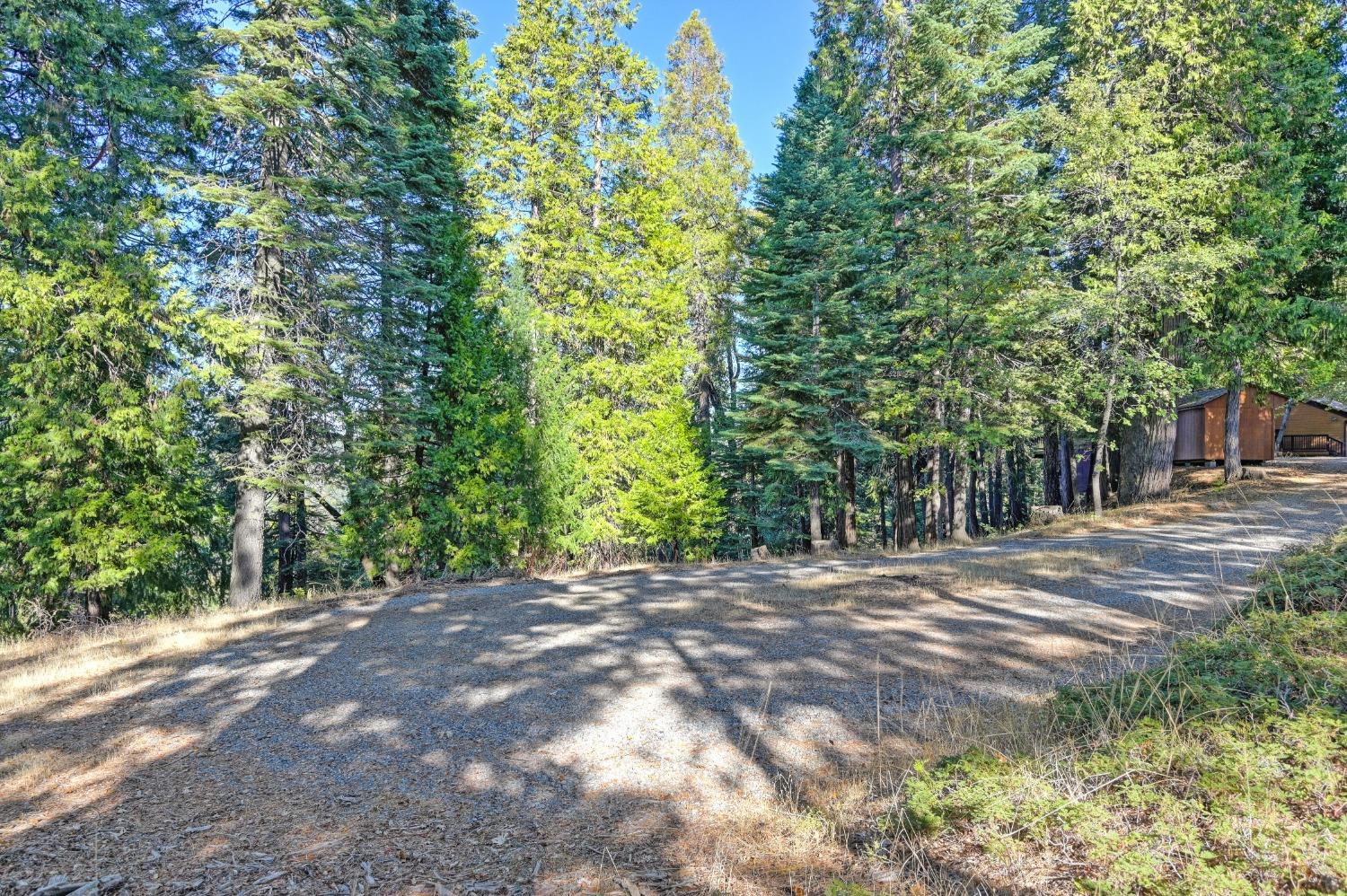 Detail Gallery Image 75 of 85 For 5041 Debron Court, Pollock Pines,  CA 95726 - 4 Beds | 3/1 Baths