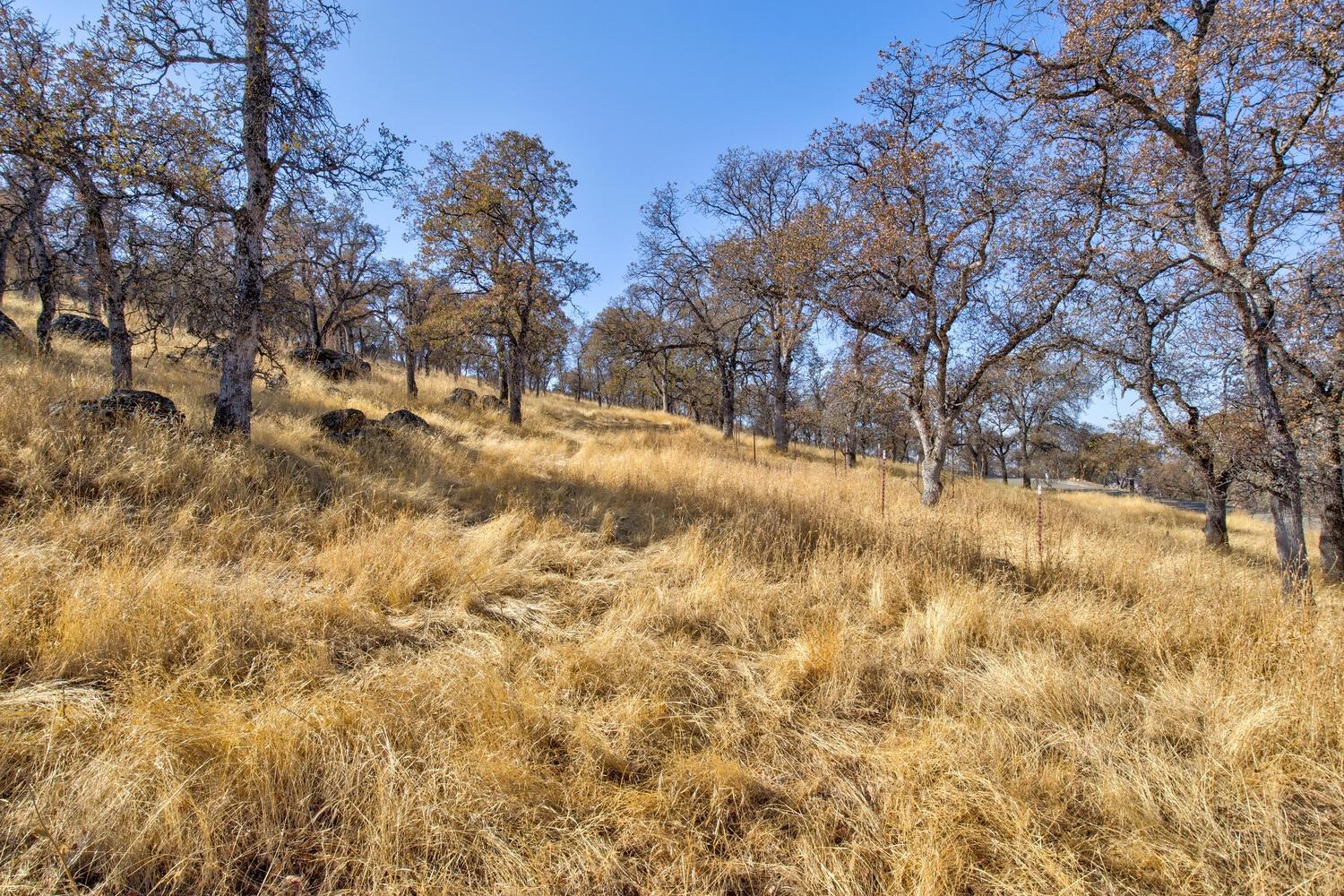 Lazo Way, La Grange, California image 16