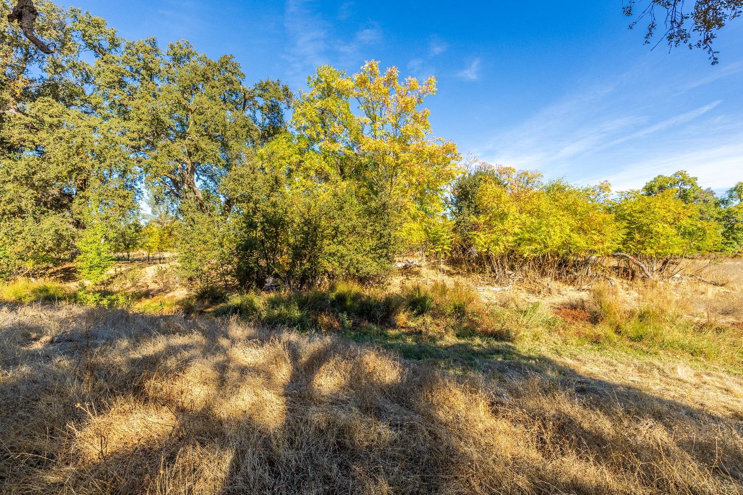 Acres State Highway 193, Lincoln, California image 16