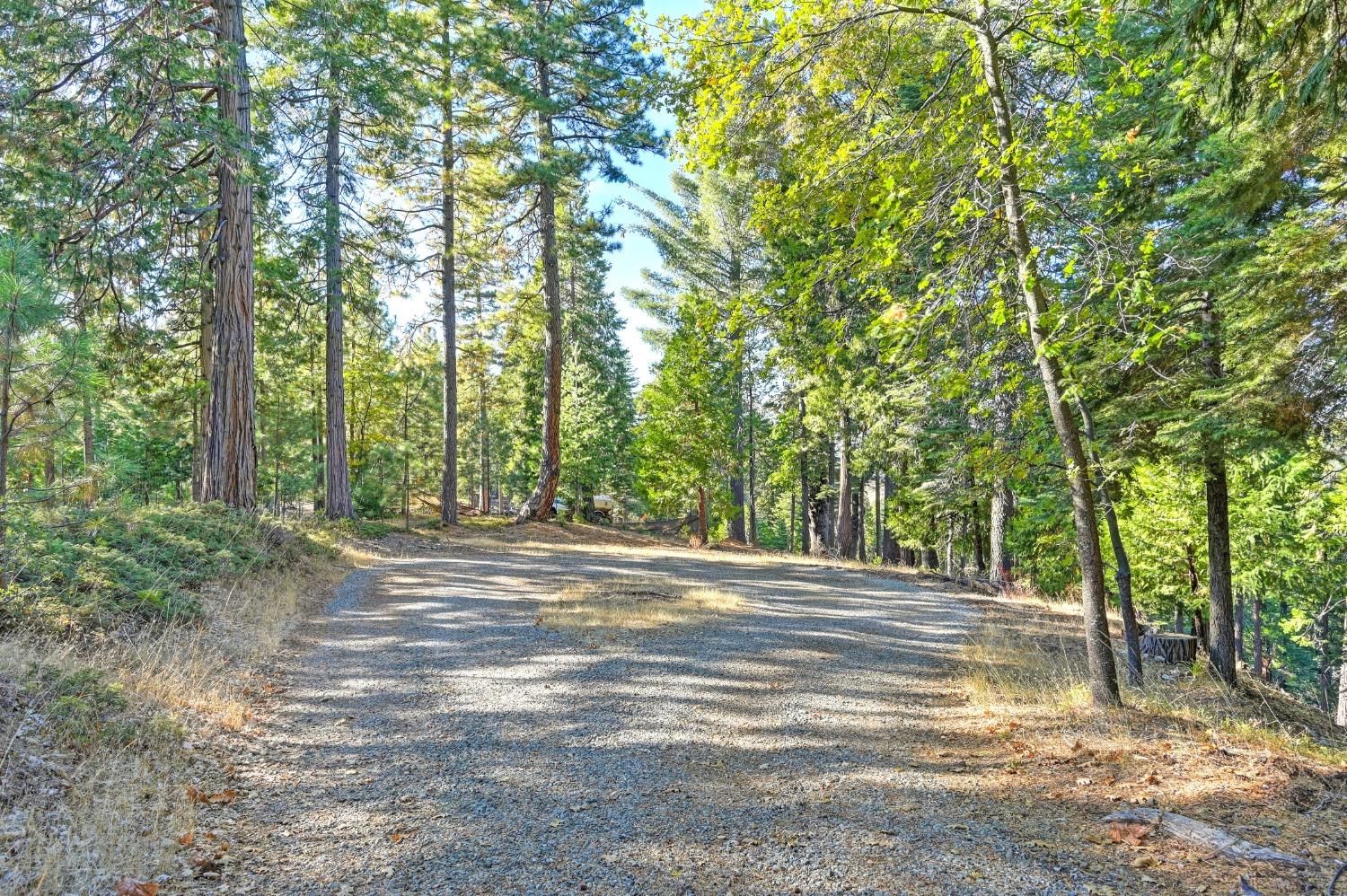 Detail Gallery Image 77 of 85 For 5041 Debron Court, Pollock Pines,  CA 95726 - 4 Beds | 3/1 Baths