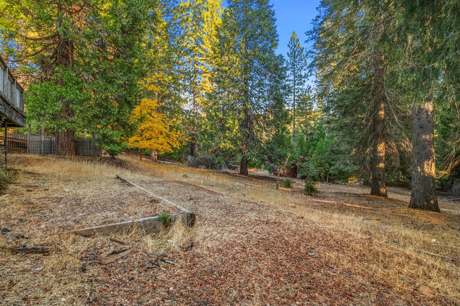 Manzanita Way, Pioneer, California image 37