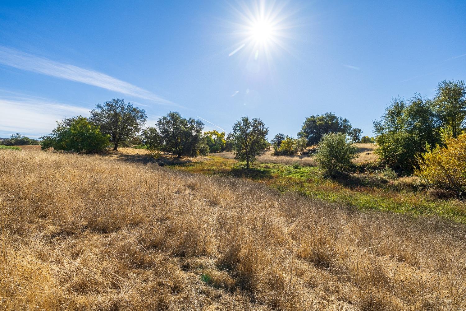 Acres State Highway 193, Lincoln, California image 19