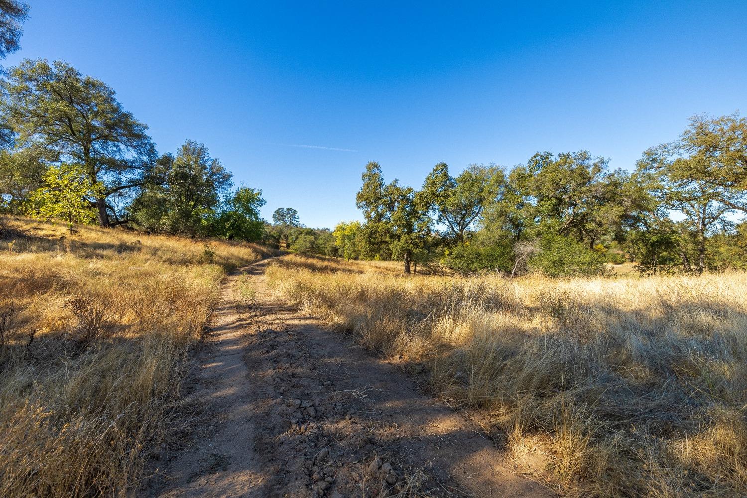 Detail Gallery Image 15 of 51 For 16 State Highway 193, Lincoln,  CA 95648 - – Beds | – Baths