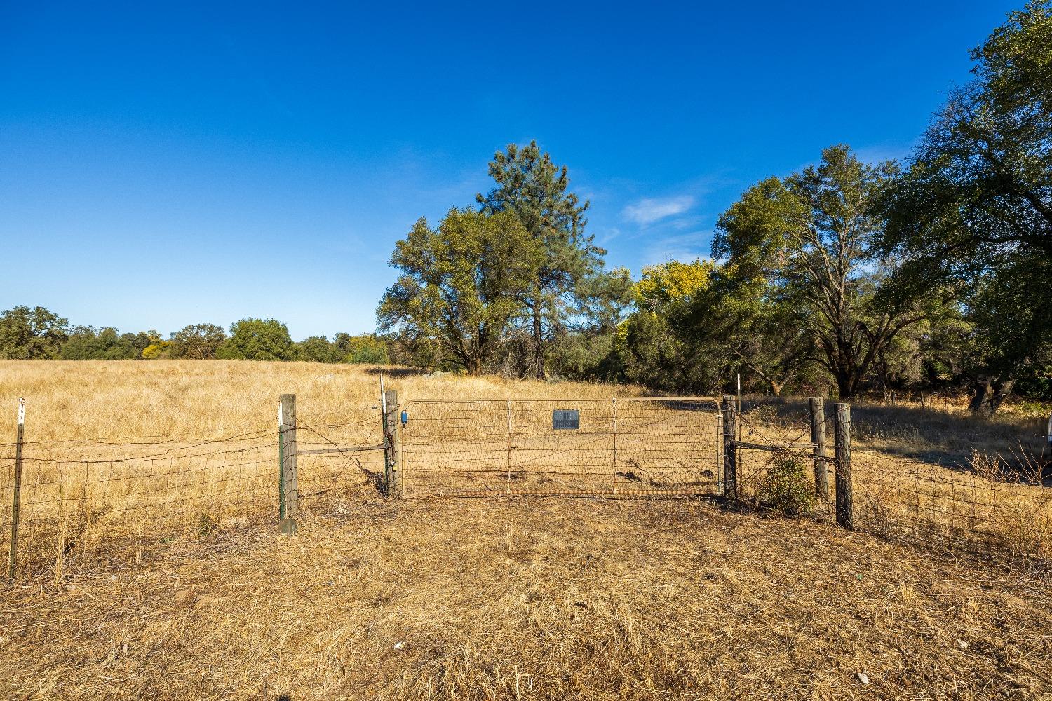 Acres State Highway 193, Lincoln, California image 4