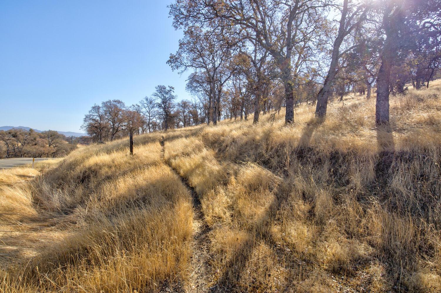 Lazo Way, La Grange, California image 19