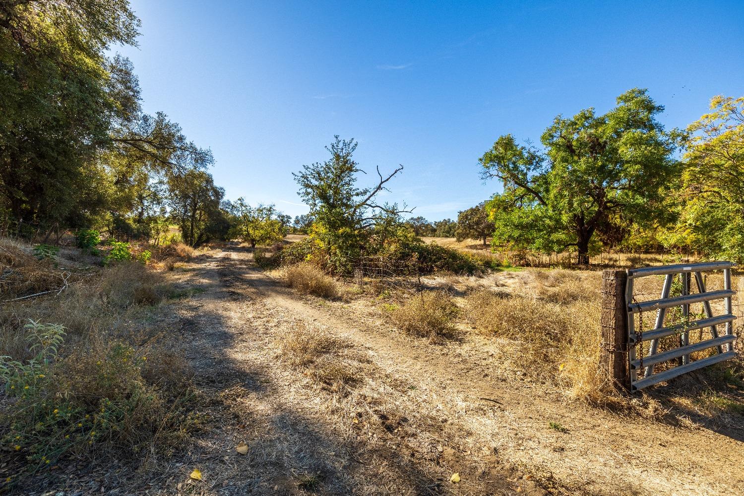 Acres State Highway 193, Lincoln, California image 14