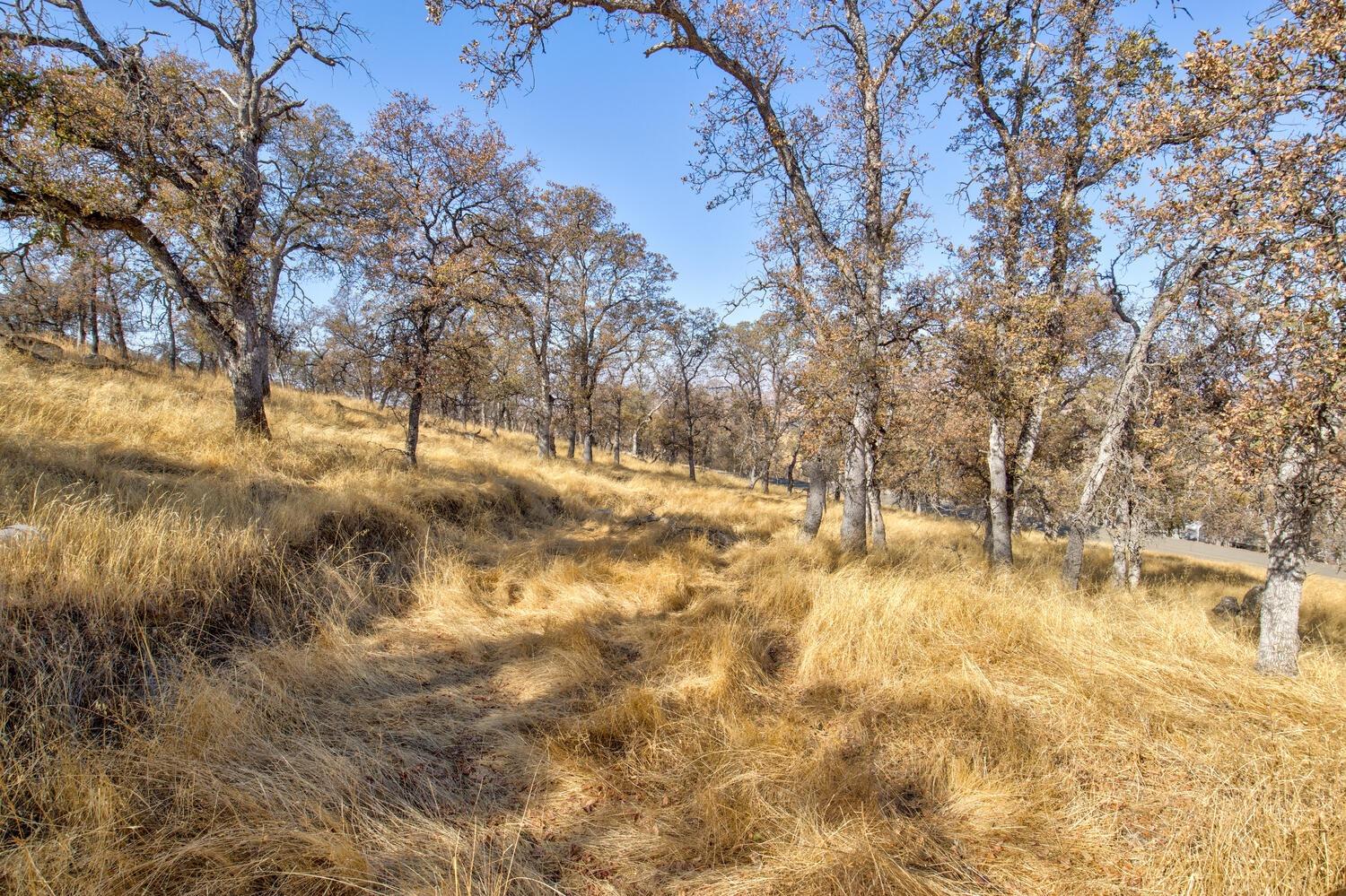 Lazo Way, La Grange, California image 9