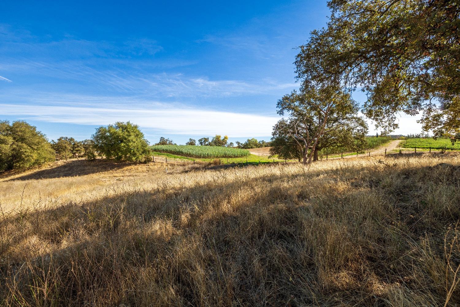 Acres State Highway 193, Lincoln, California image 22