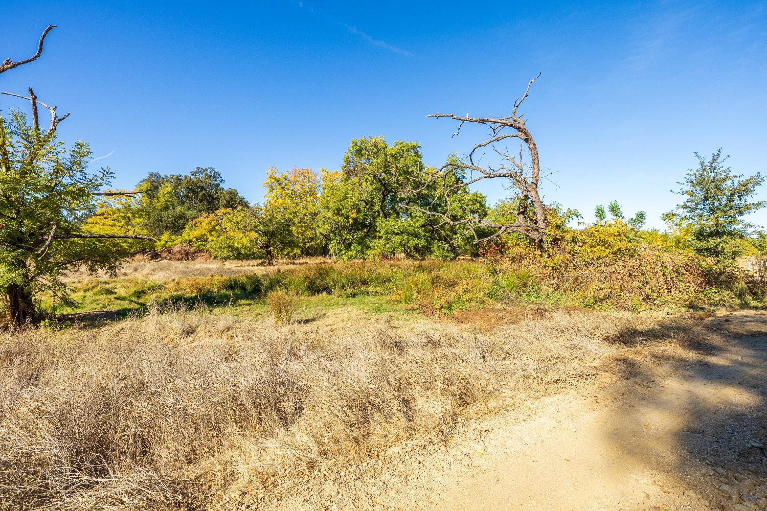 Acres State Highway 193, Lincoln, California image 13