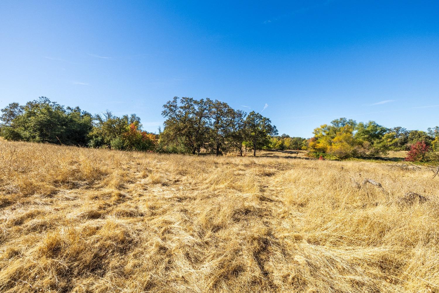 Acres State Highway 193, Lincoln, California image 17