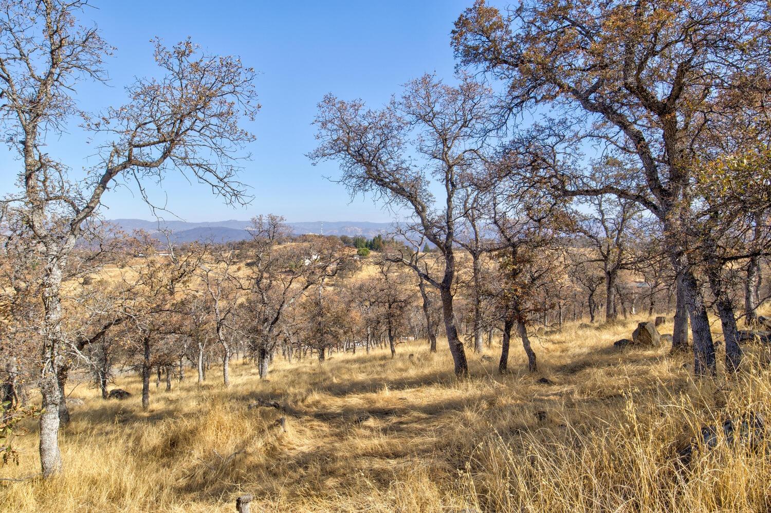 Lazo Way, La Grange, California image 7