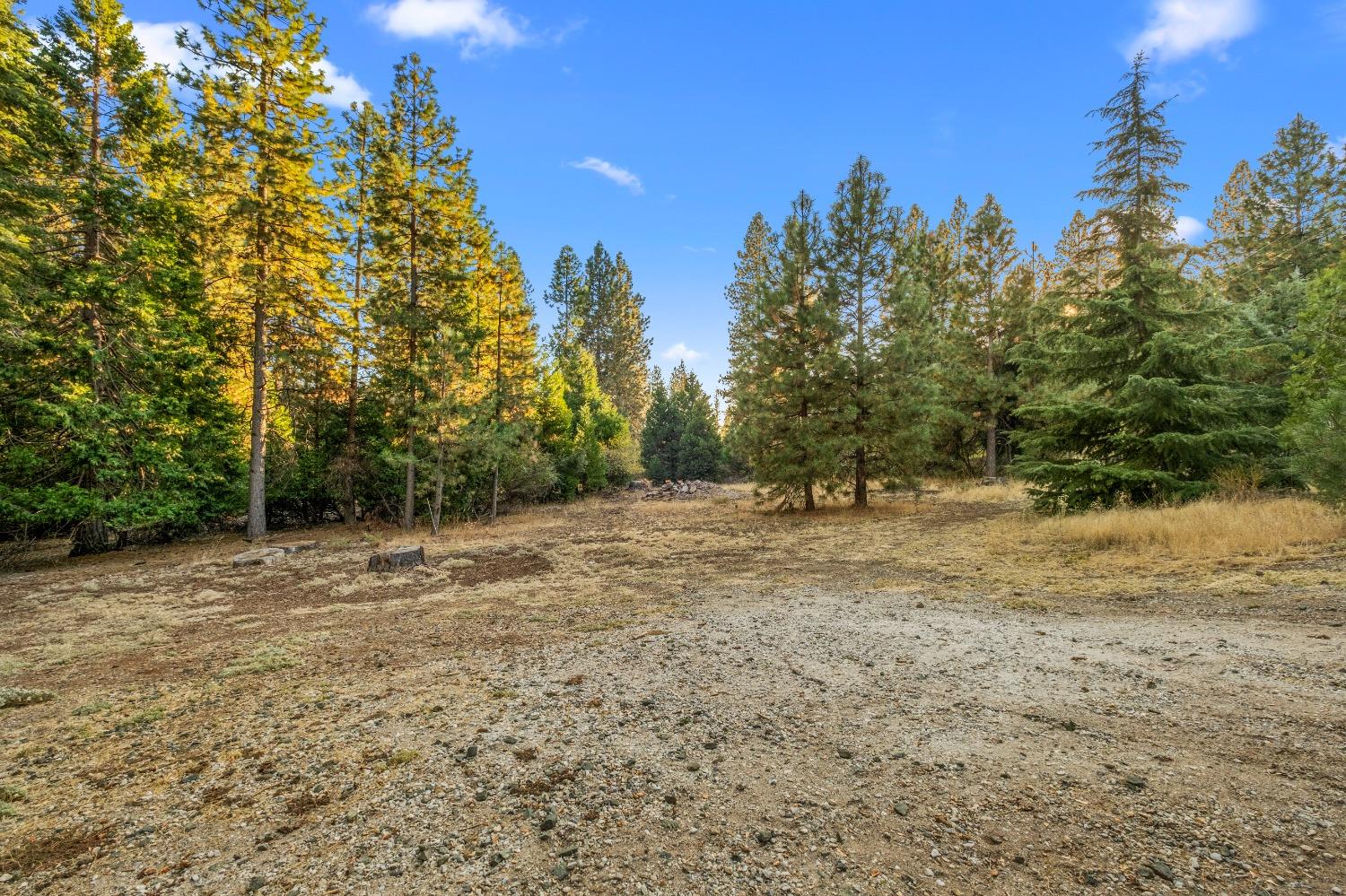 Manzanita Way, Pioneer, California image 35