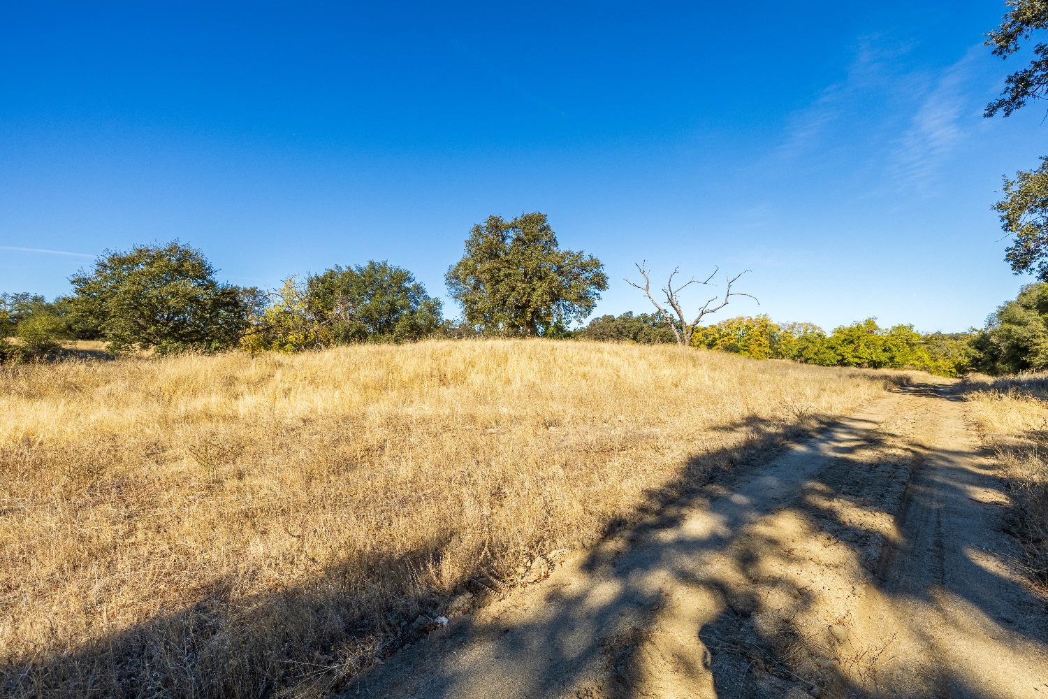 Acres State Highway 193, Lincoln, California image 10