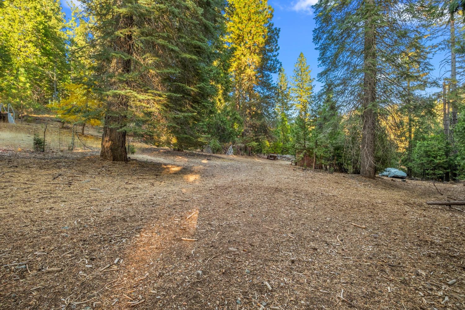 Manzanita Way, Pioneer, California image 39