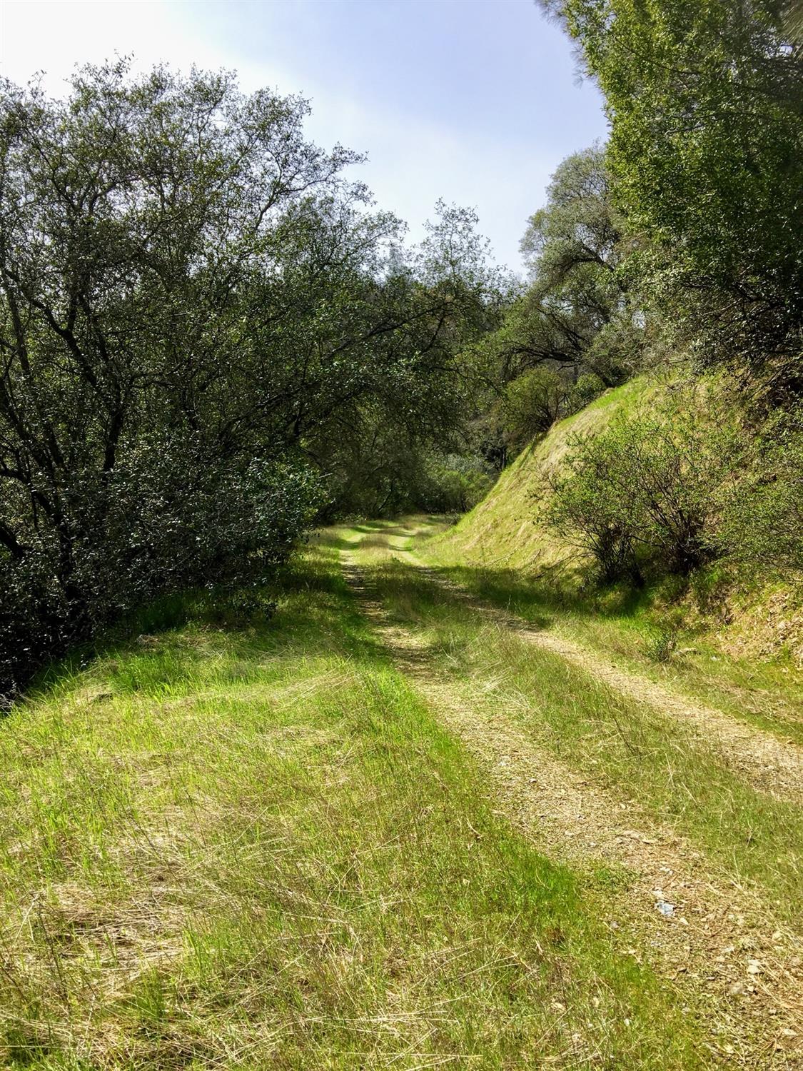 Detail Gallery Image 13 of 28 For 99 Lotus Rd, Placerville,  CA 95667 - – Beds | – Baths