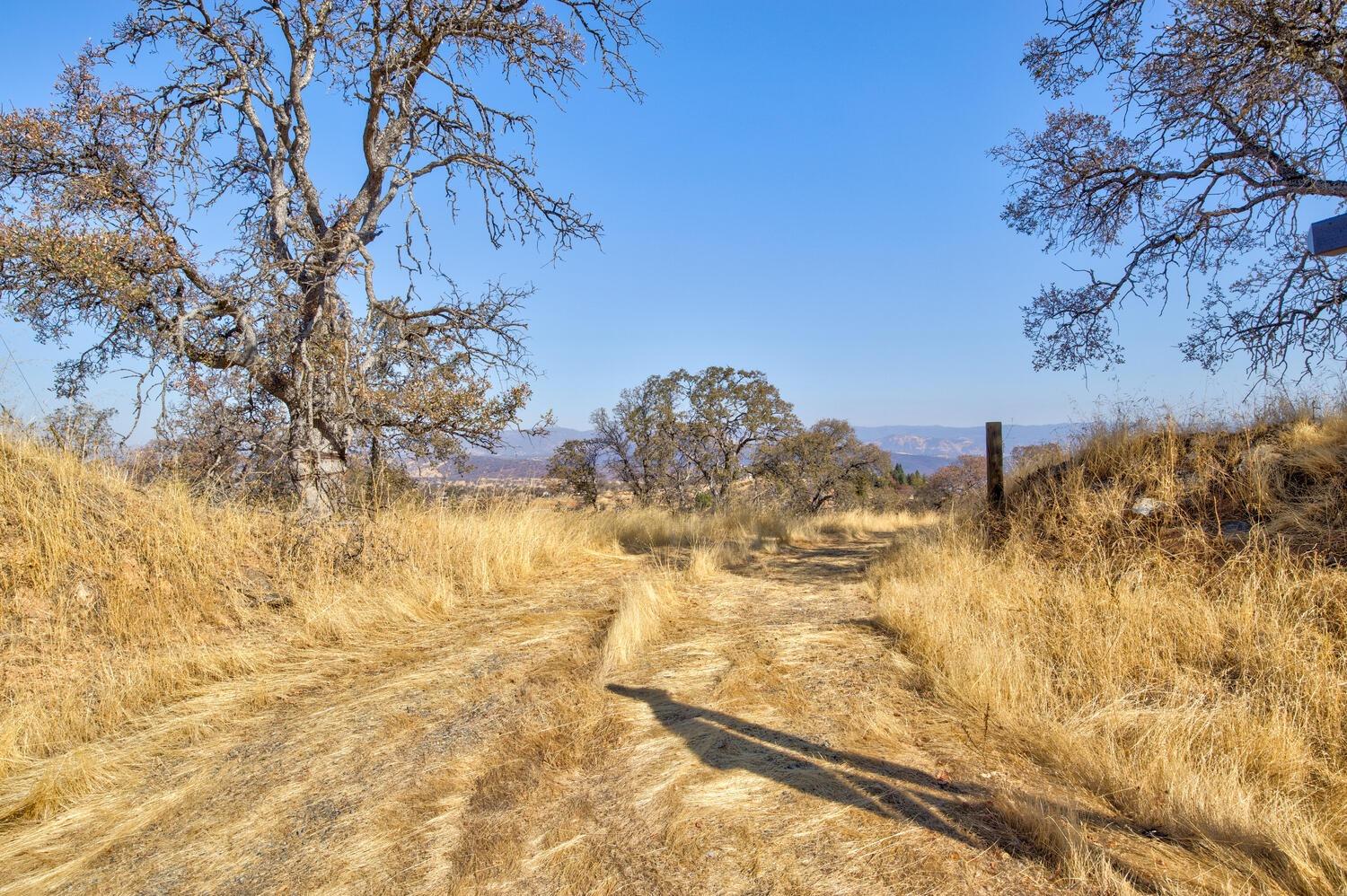 Lazo Way, La Grange, California image 1