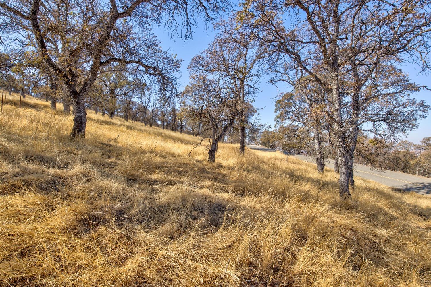 Lazo Way, La Grange, California image 18