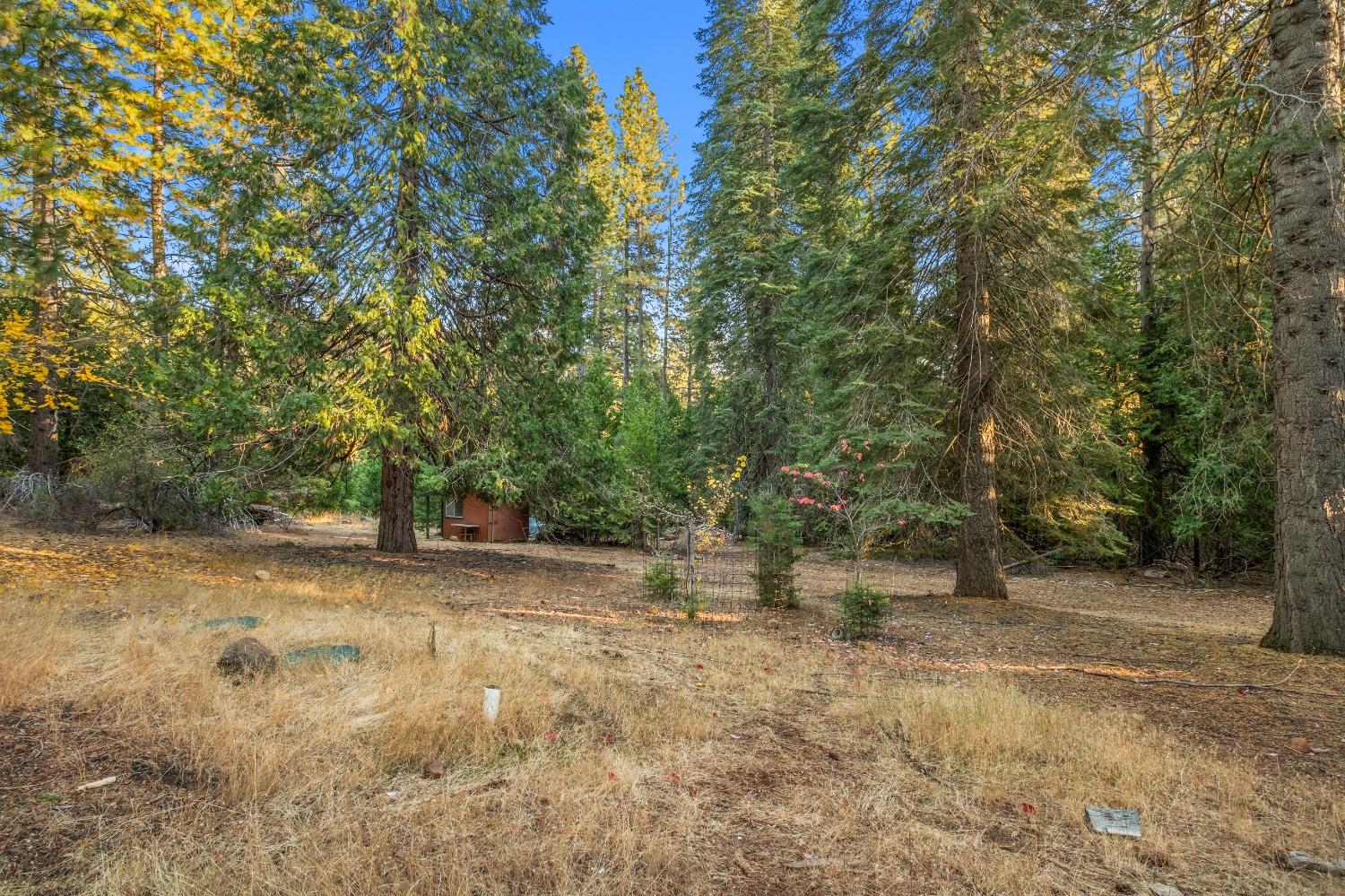 Manzanita Way, Pioneer, California image 38