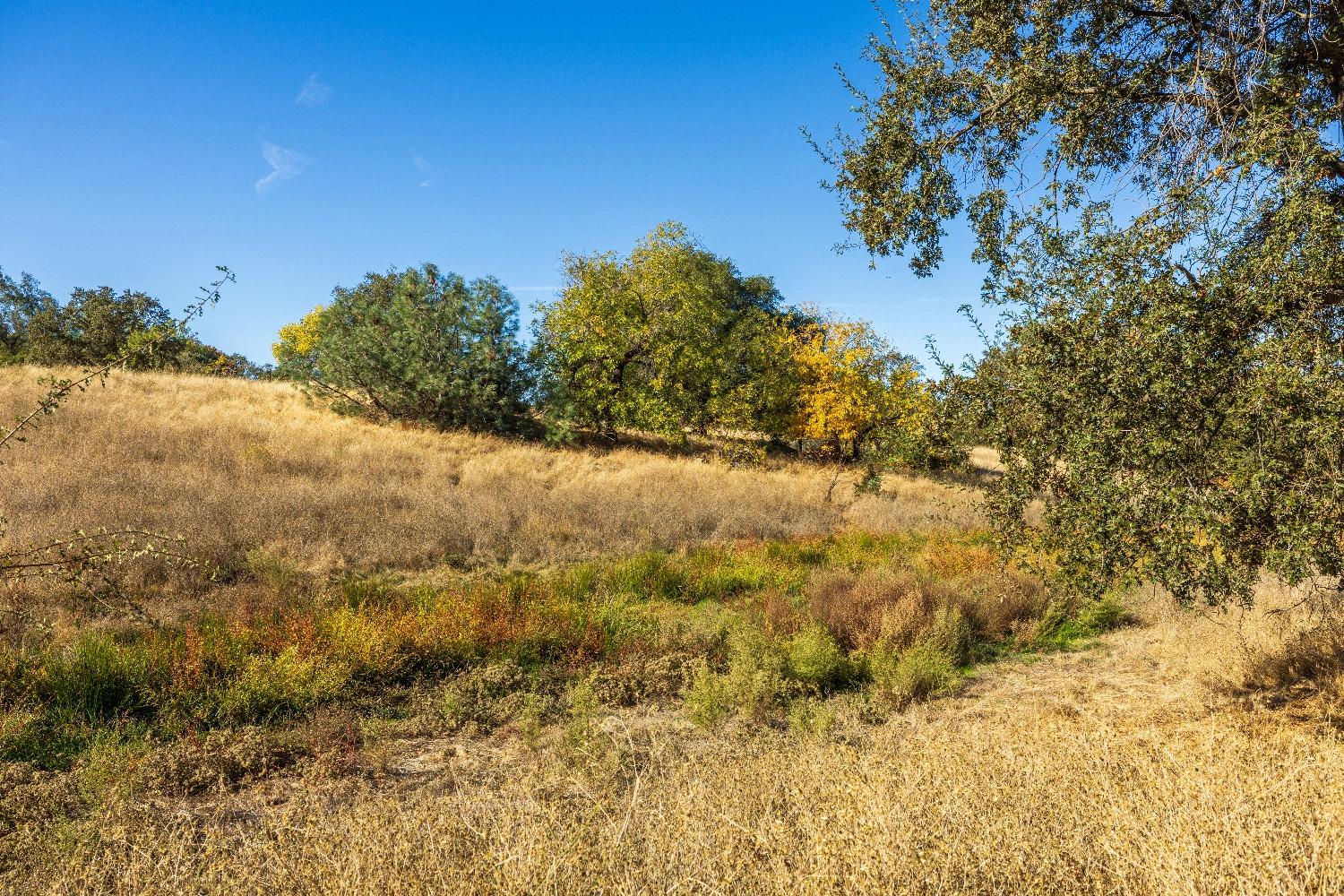 Acres State Highway 193, Lincoln, California image 9