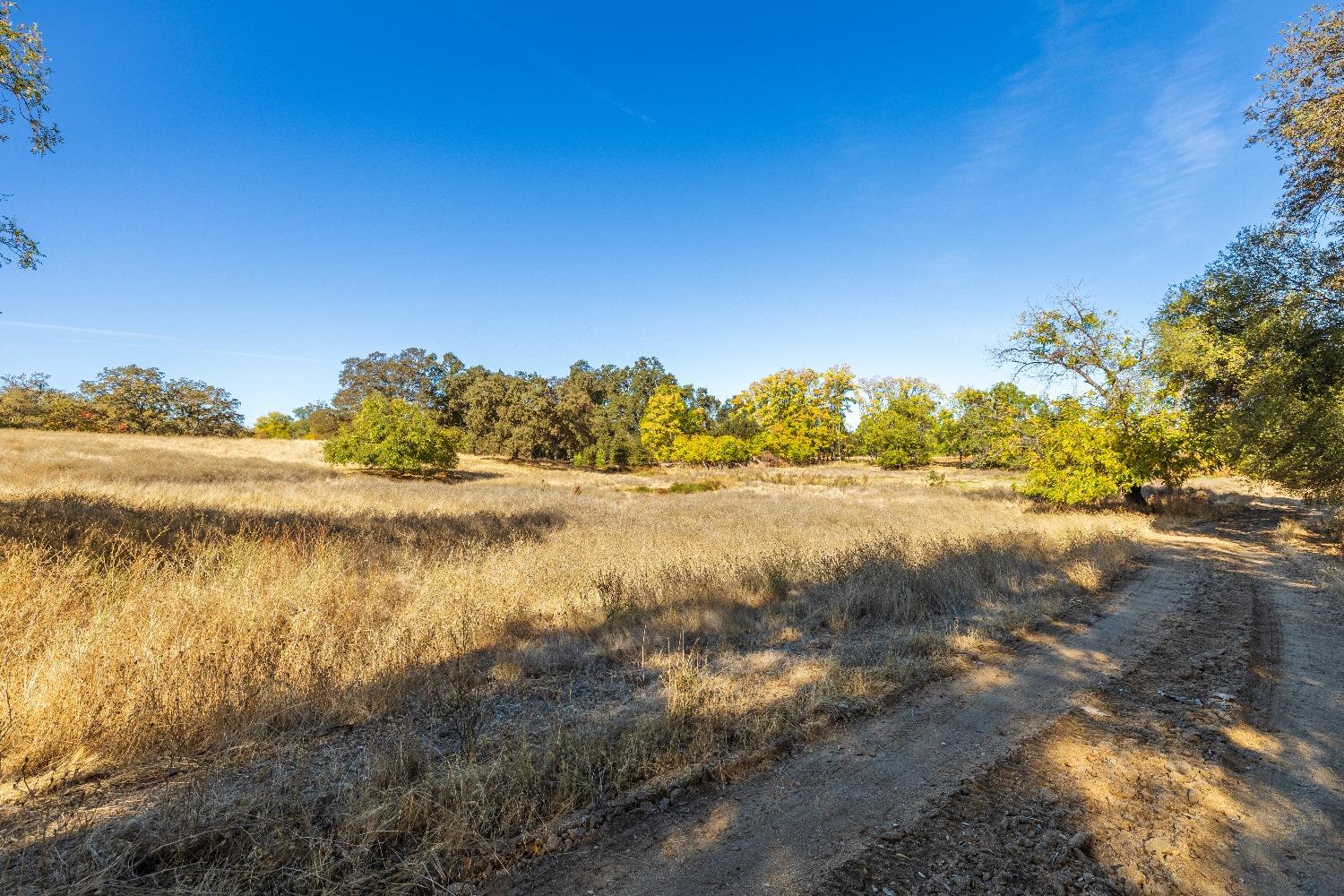 Acres State Highway 193, Lincoln, California image 12