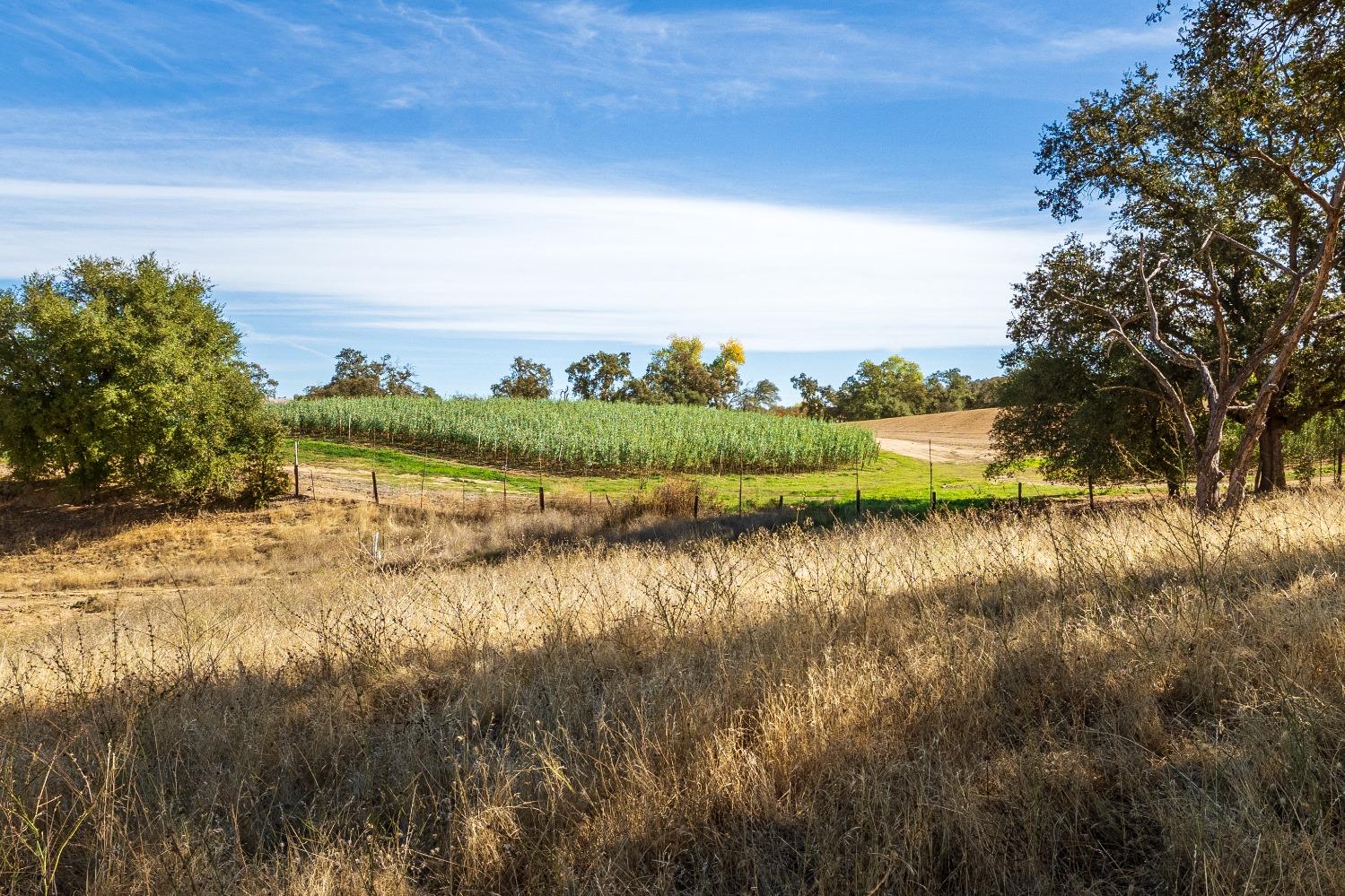 Acres State Highway 193, Lincoln, California image 23