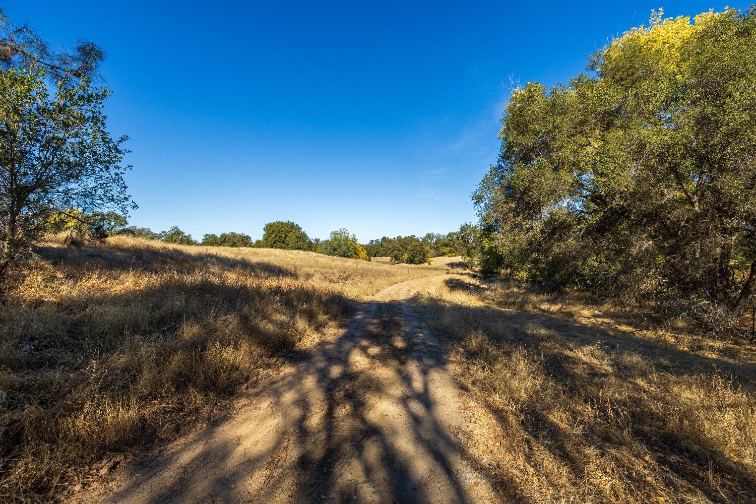 Acres State Highway 193, Lincoln, California image 7