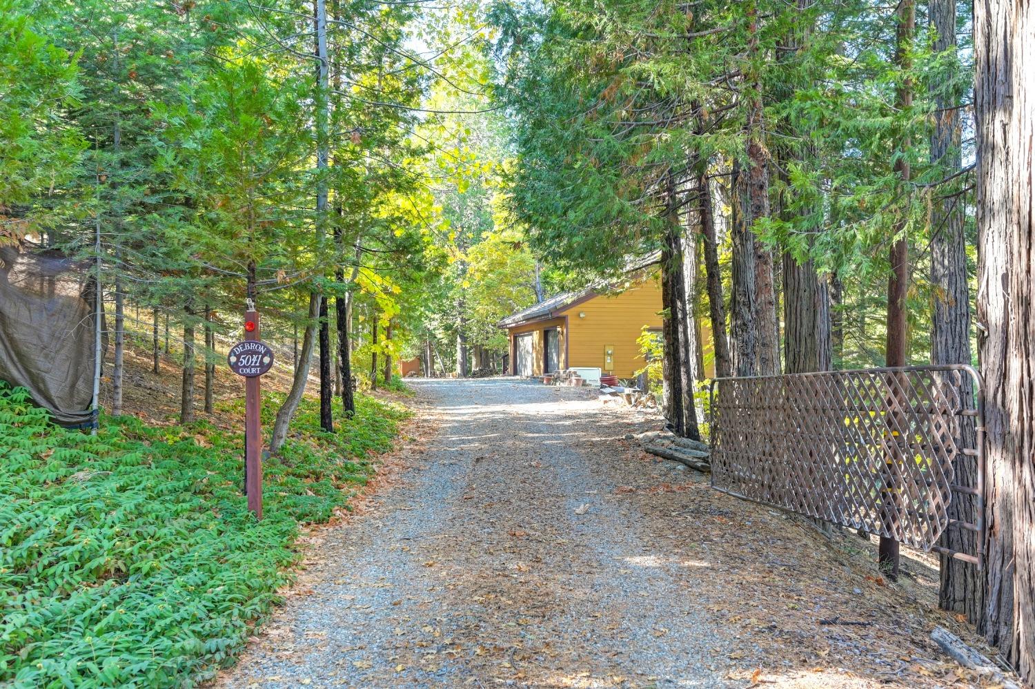 Detail Gallery Image 81 of 85 For 5041 Debron Court, Pollock Pines,  CA 95726 - 4 Beds | 3/1 Baths