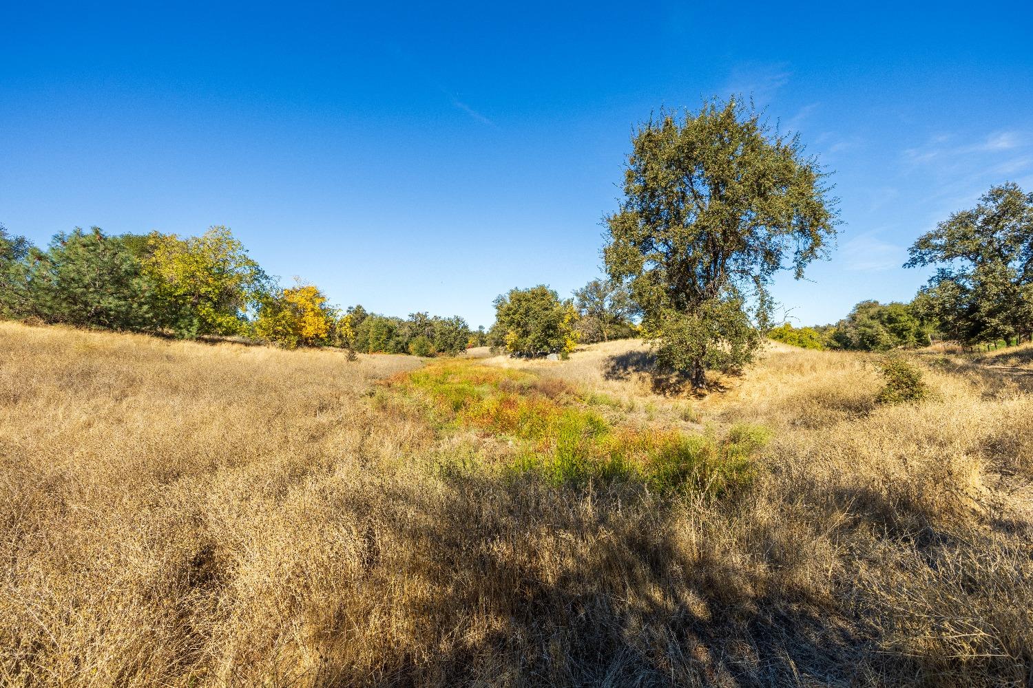 Acres State Highway 193, Lincoln, California image 8