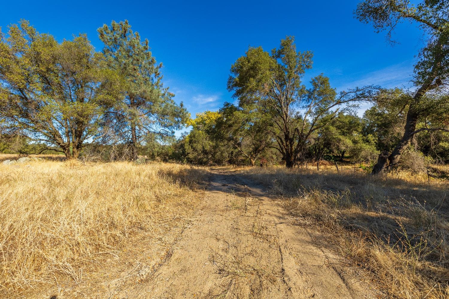 Acres State Highway 193, Lincoln, California image 6