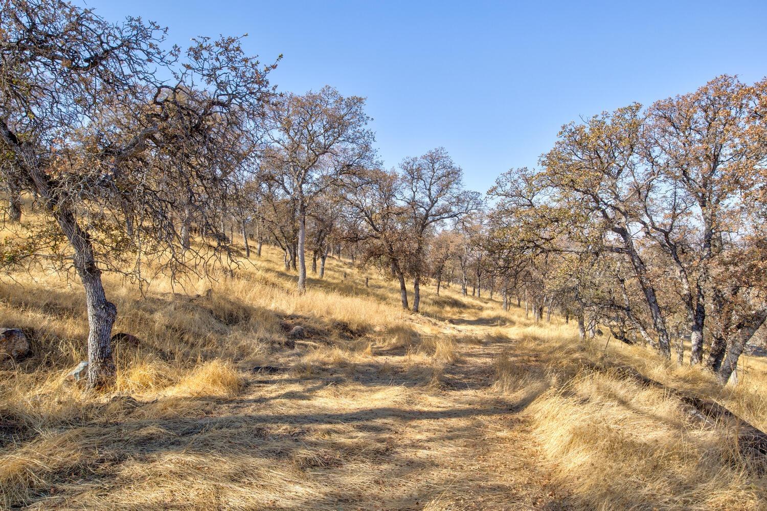 Lazo Way, La Grange, California image 6