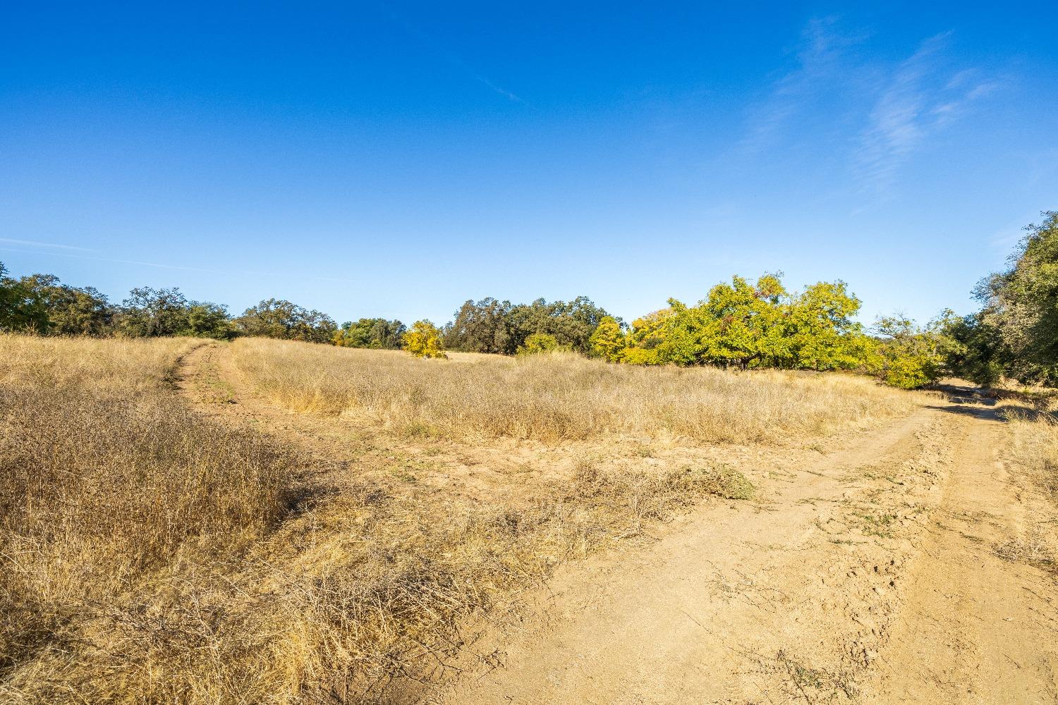 Acres State Highway 193, Lincoln, California image 11