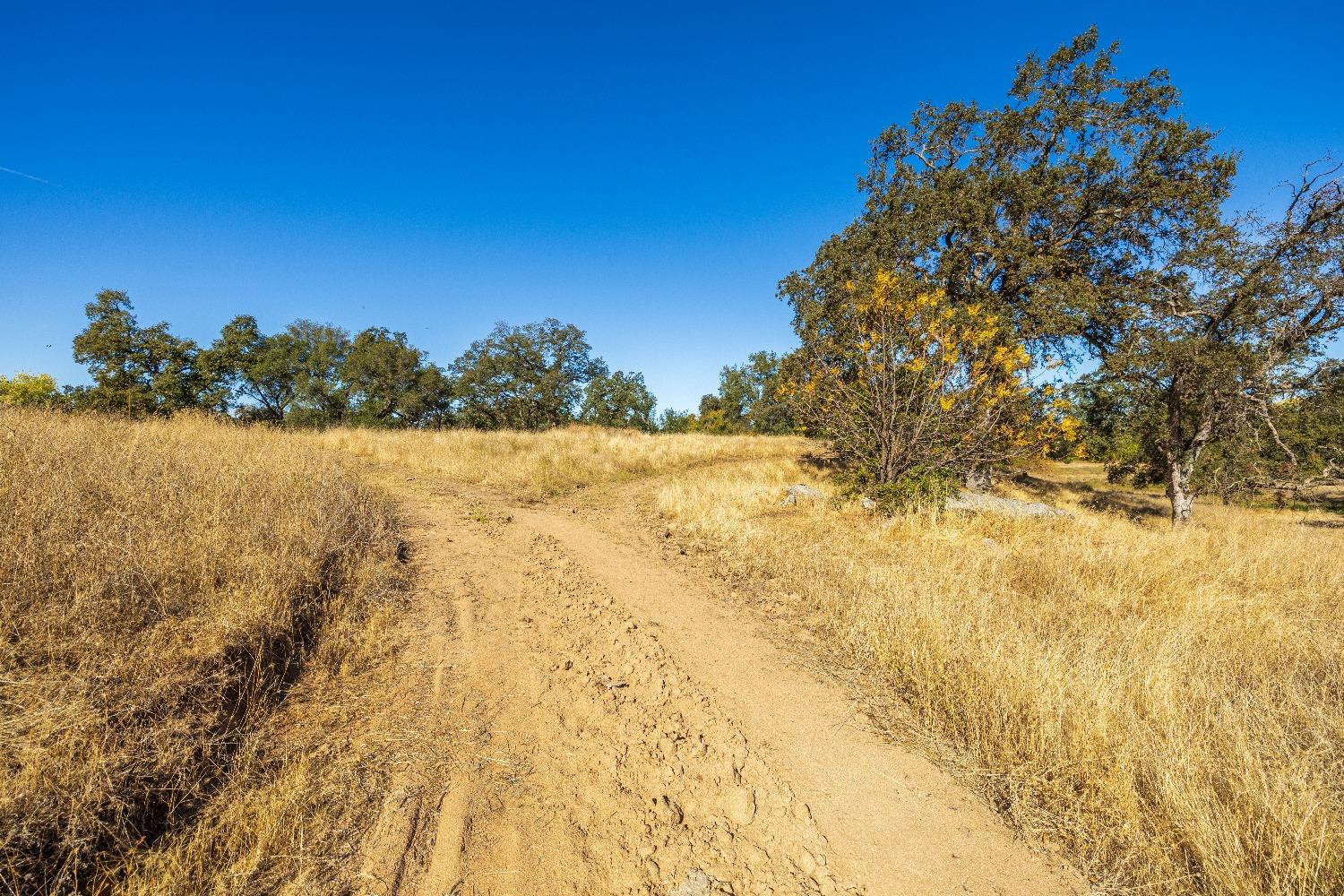 Detail Gallery Image 14 of 51 For 16 State Highway 193, Lincoln,  CA 95648 - – Beds | – Baths