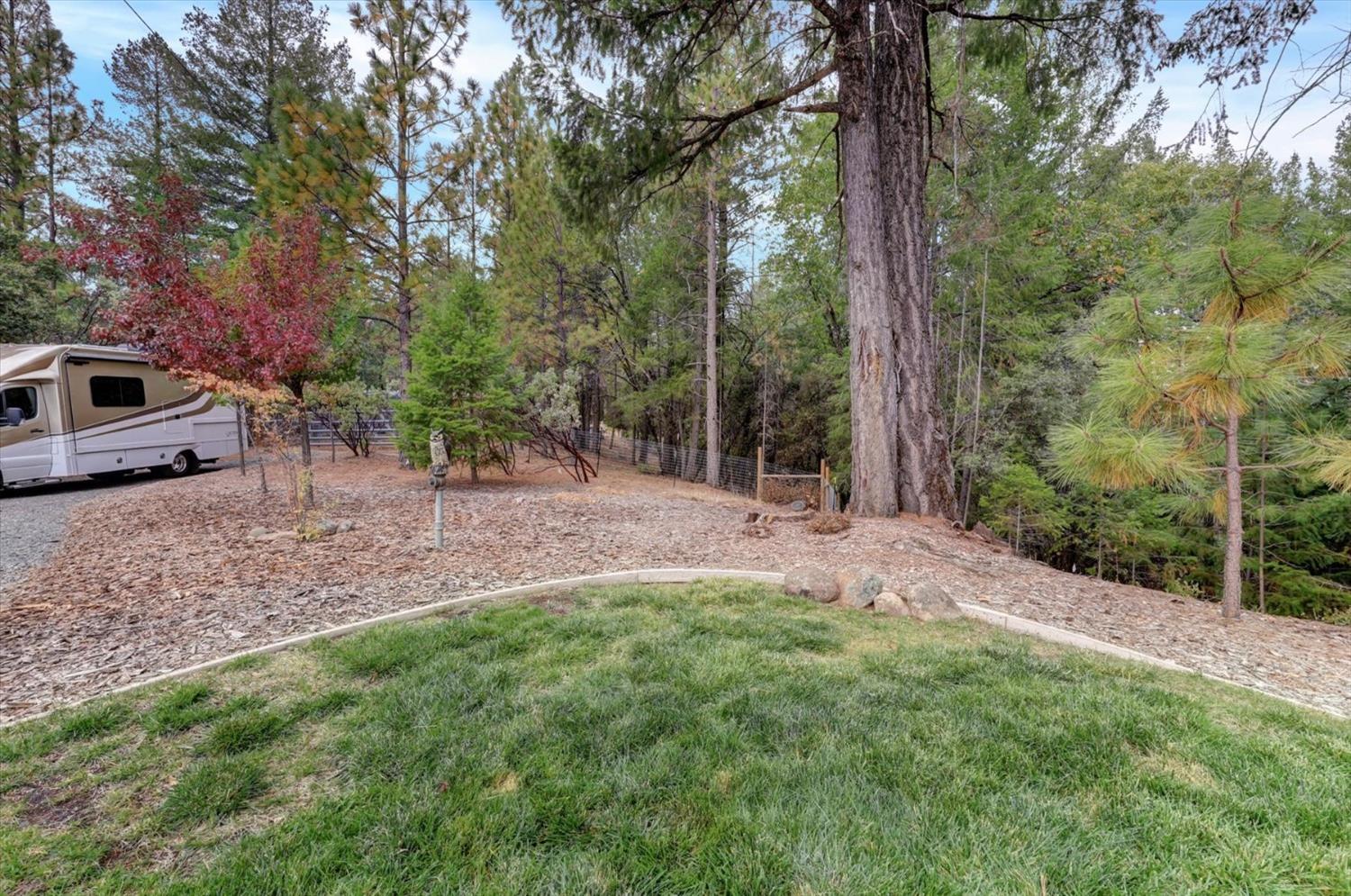 Detail Gallery Image 70 of 99 For 595 Clay Canyon Ct, Colfax,  CA 95713 - 4 Beds | 3/1 Baths