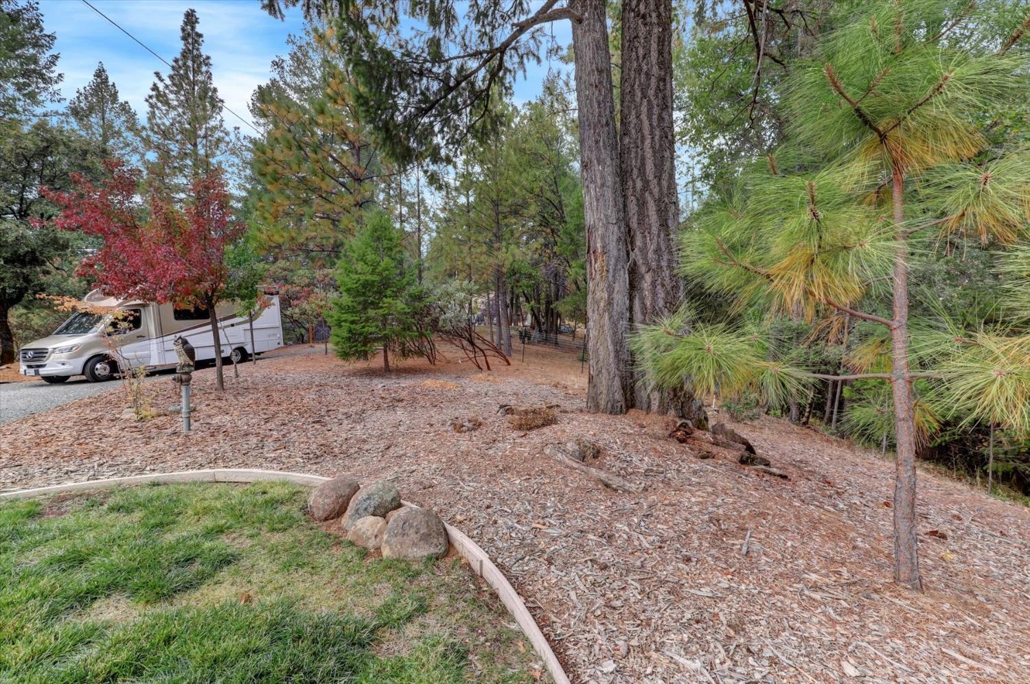 Detail Gallery Image 68 of 99 For 595 Clay Canyon Ct, Colfax,  CA 95713 - 4 Beds | 3/1 Baths